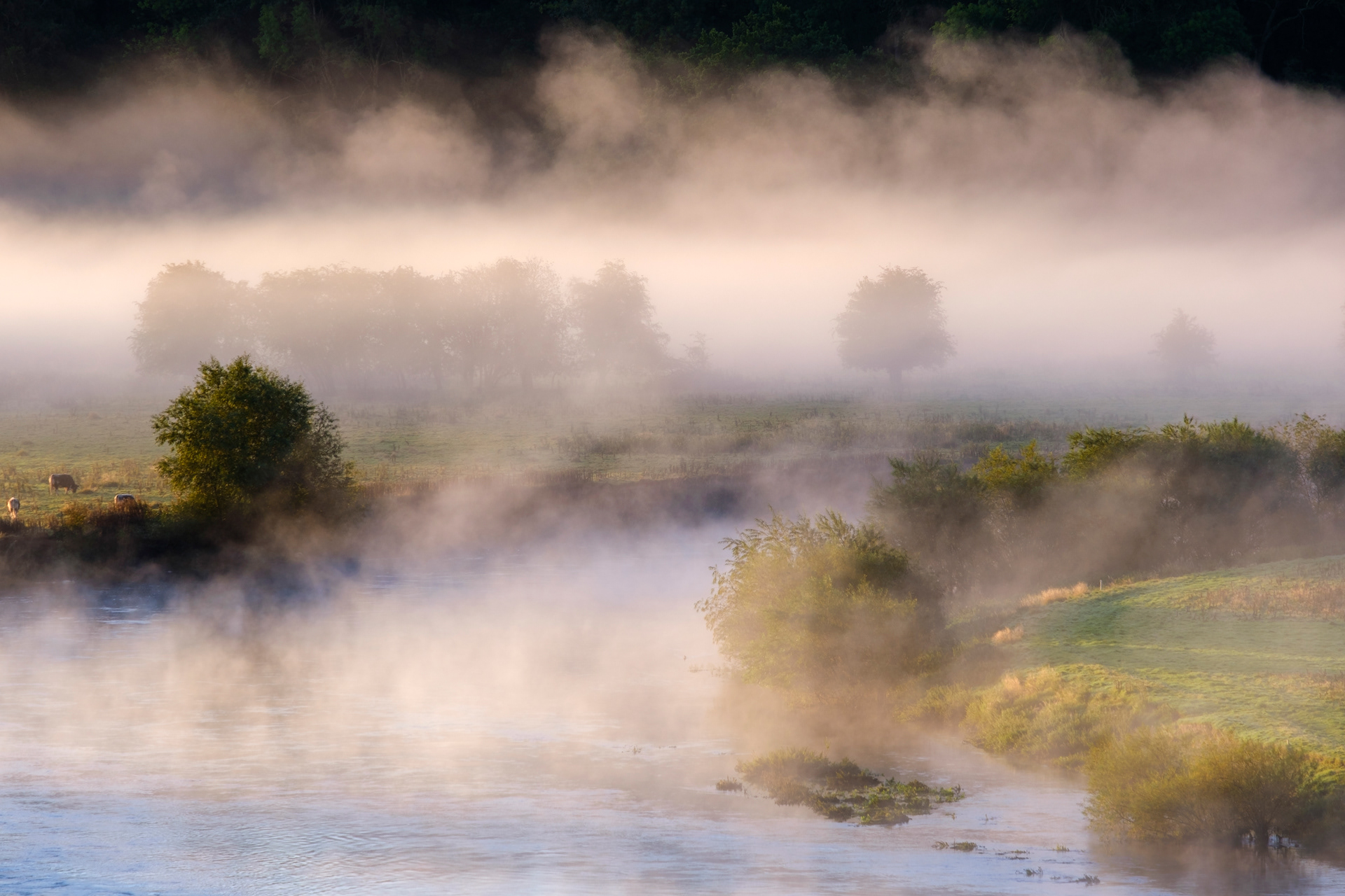 Mist on the Severn