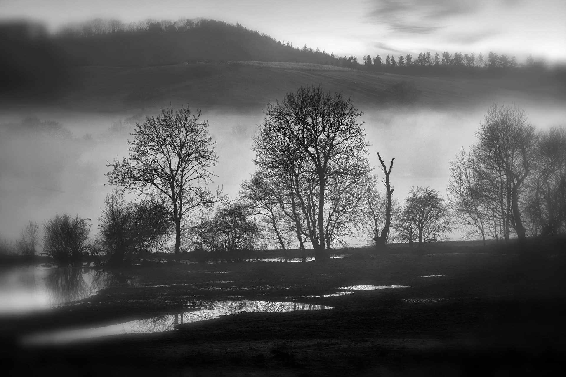 Rising Mist on the Severn