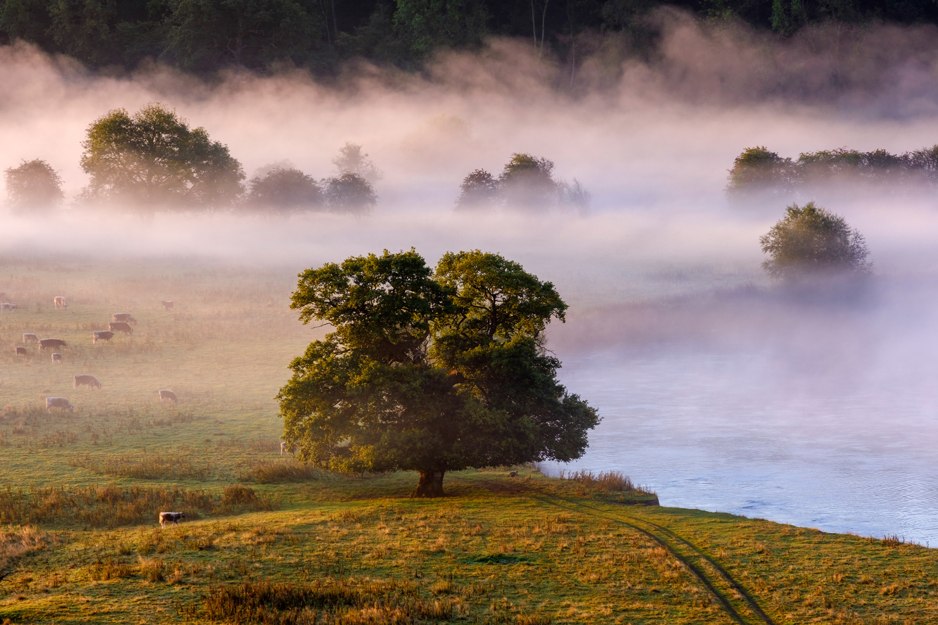 Misty Leighton Meander