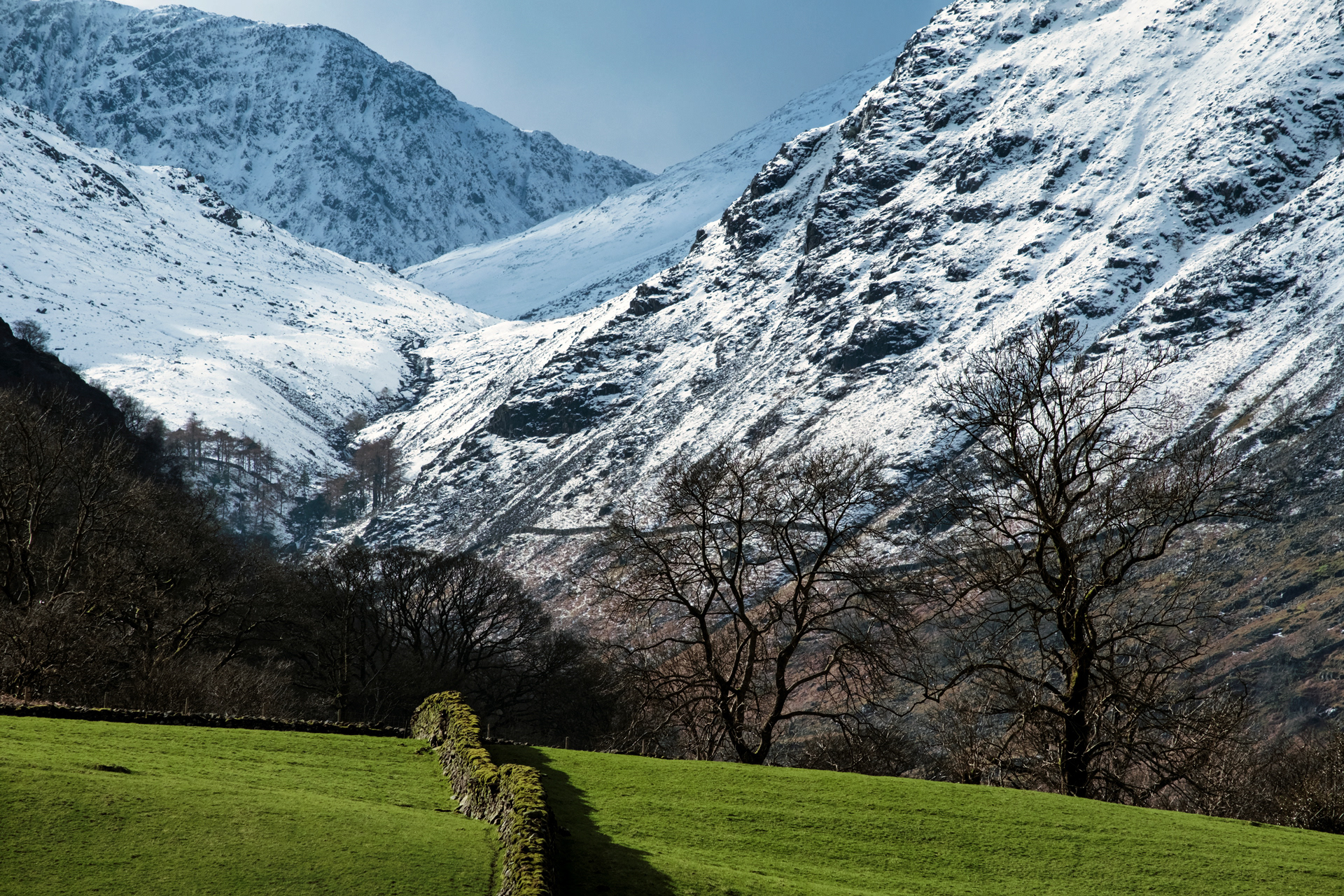 Snowline