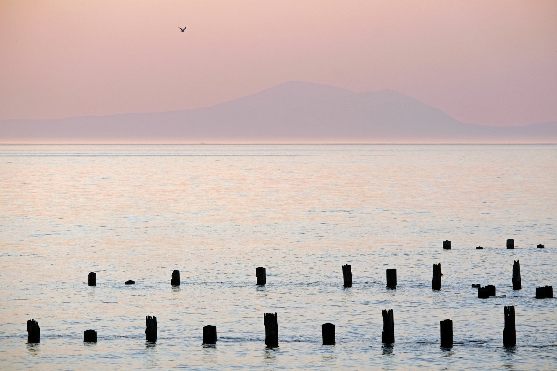 Cardigan Bay Afterglow