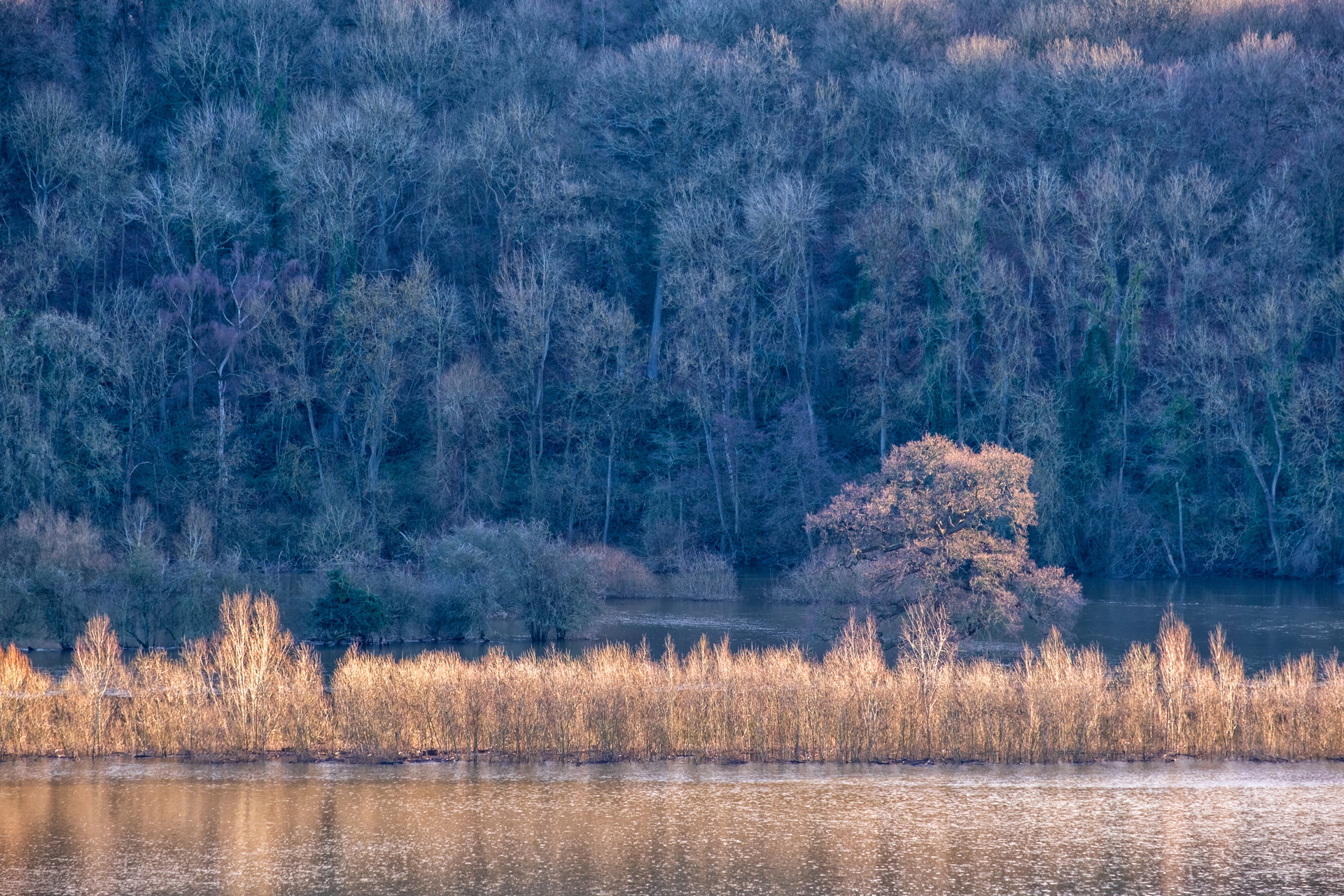 First Light at Leighton