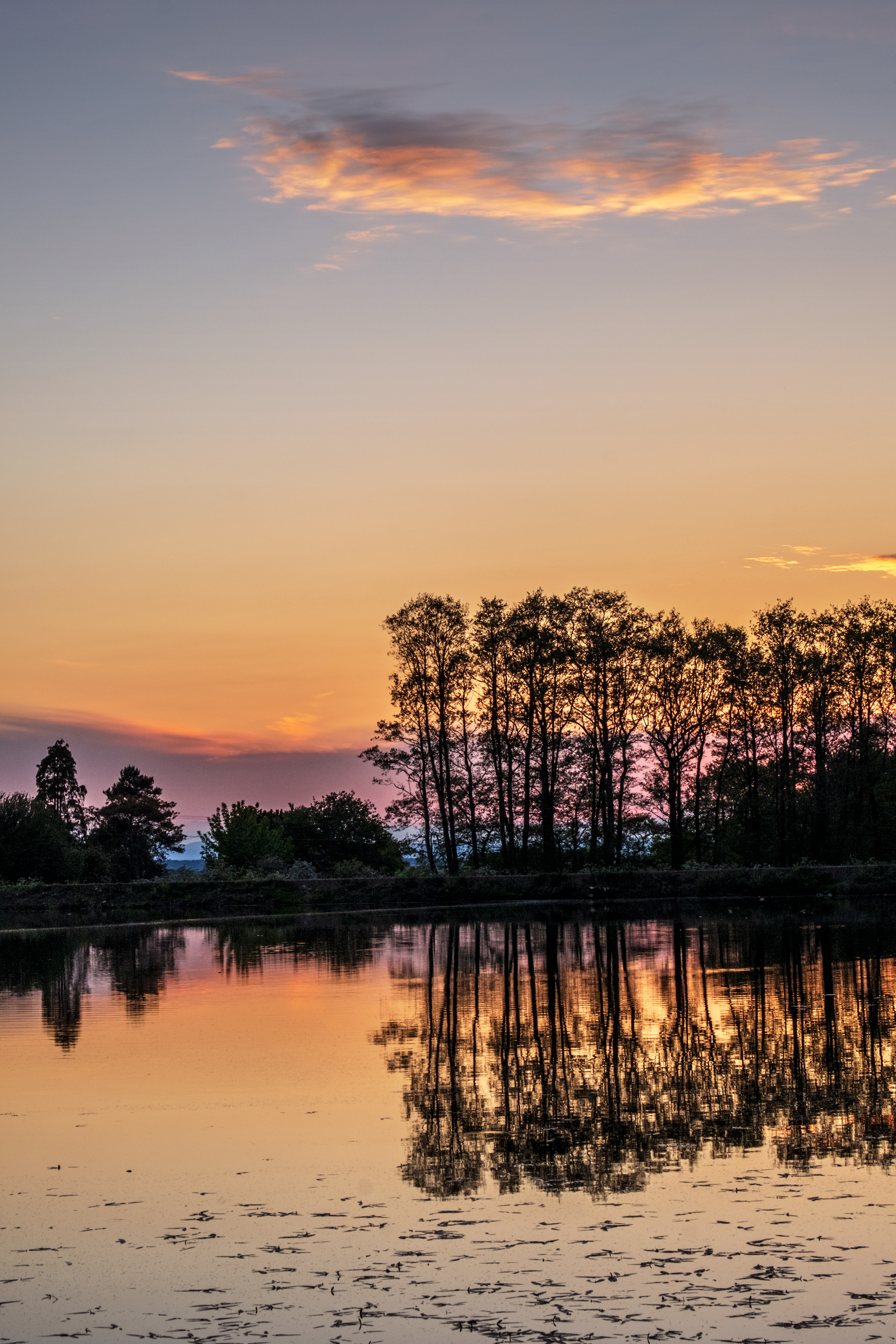 Wrekin Reservoir