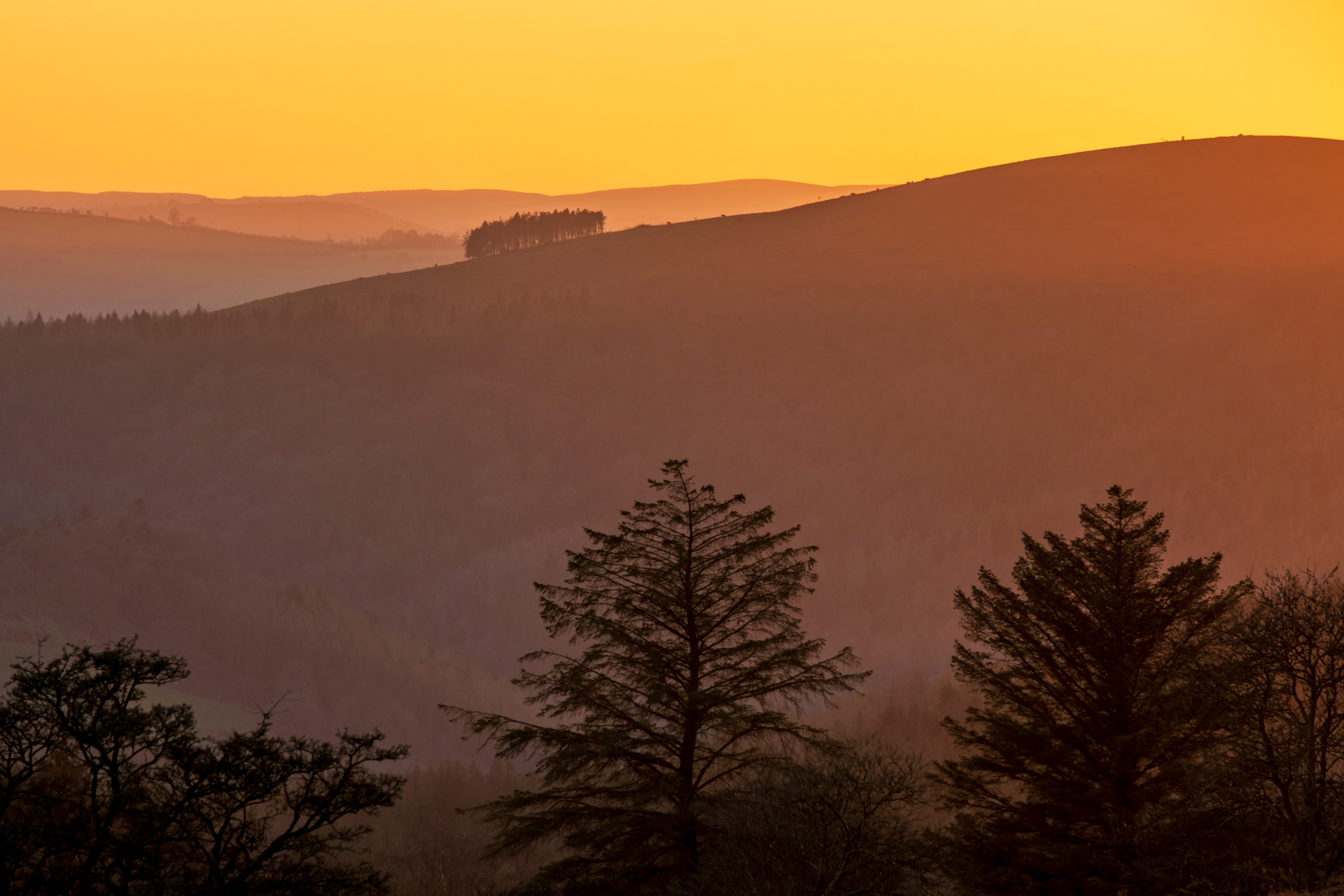 Stiperstones Afterglow #2