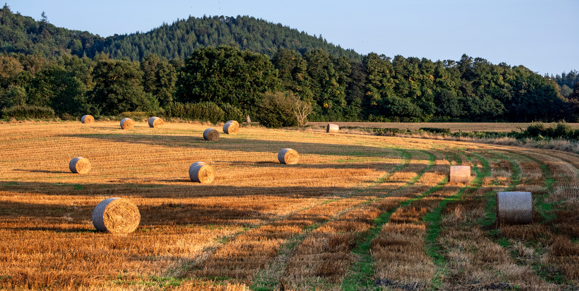 Bales and Tracks