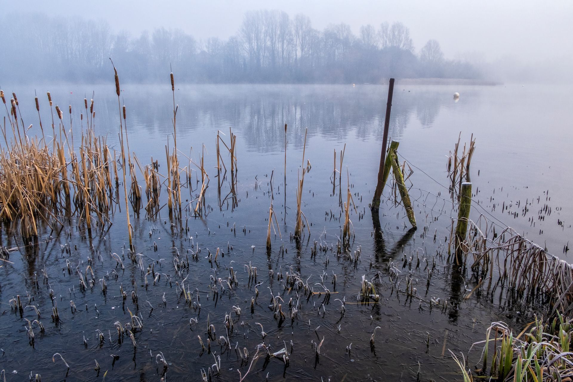 A Misty Priorslee Lake