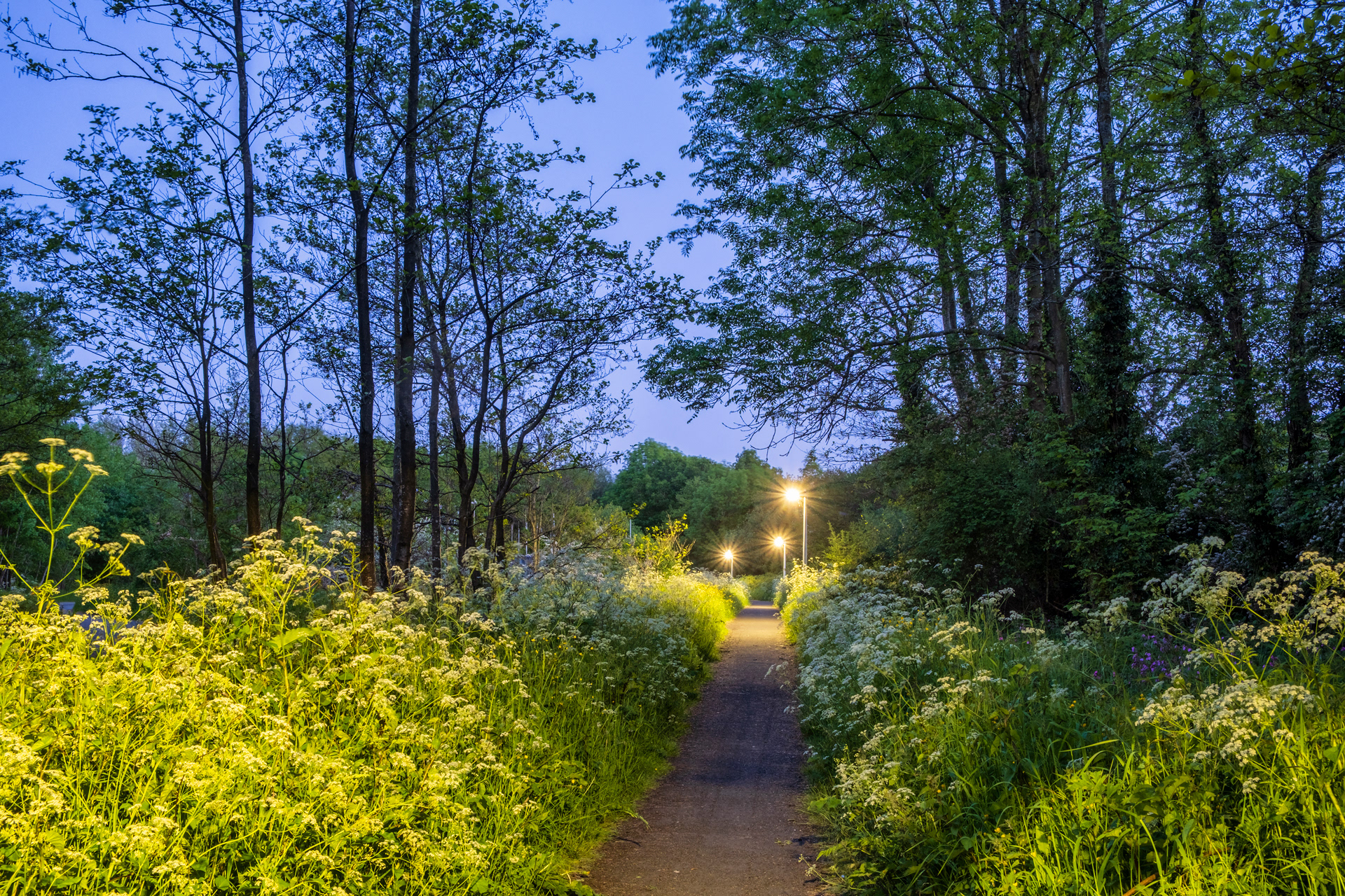 Last Light Priorslee