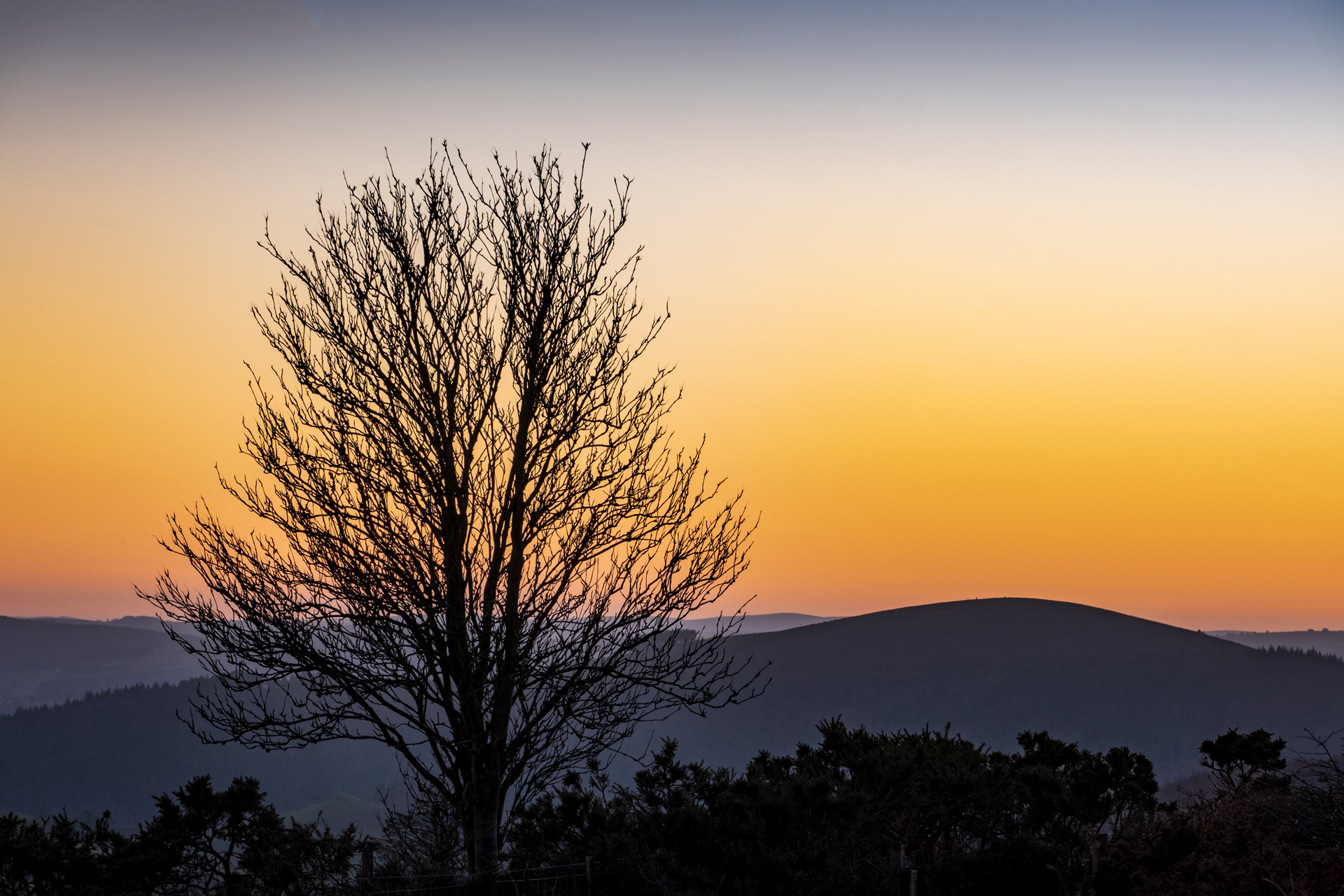 Stiperstones Afterglow #1