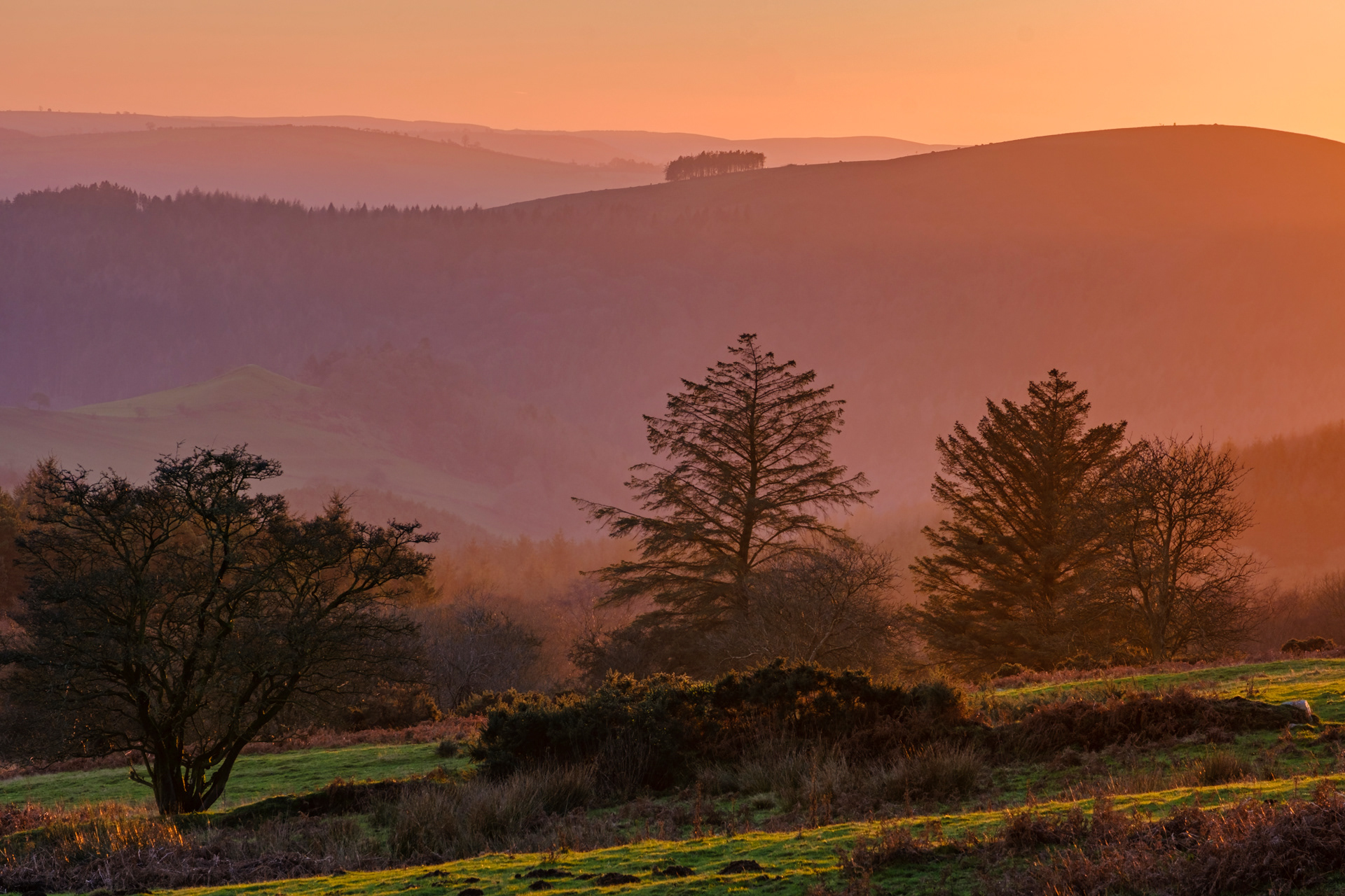 Stiperstones Afterglow #3