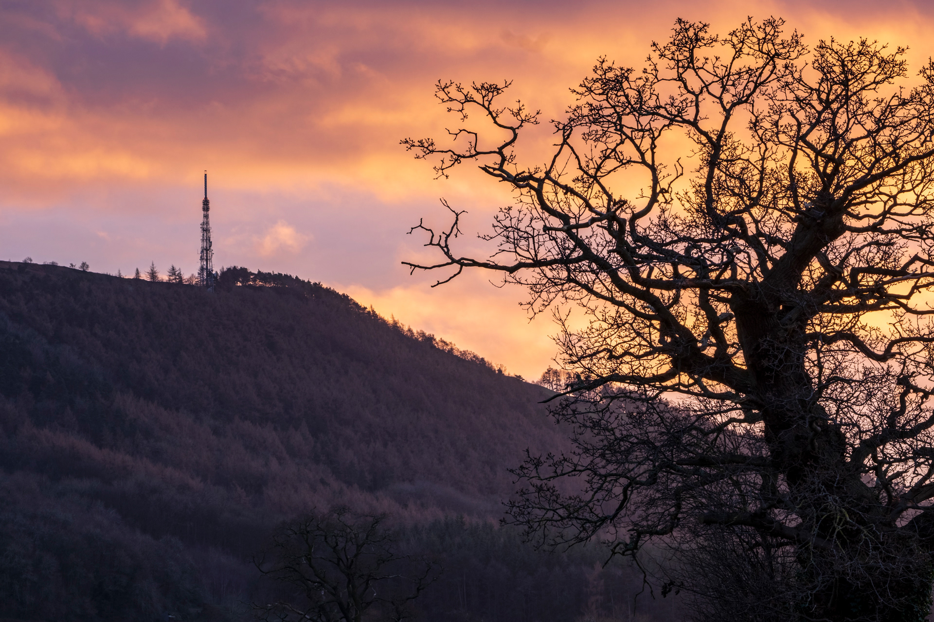 Wrekin Sunset #2
