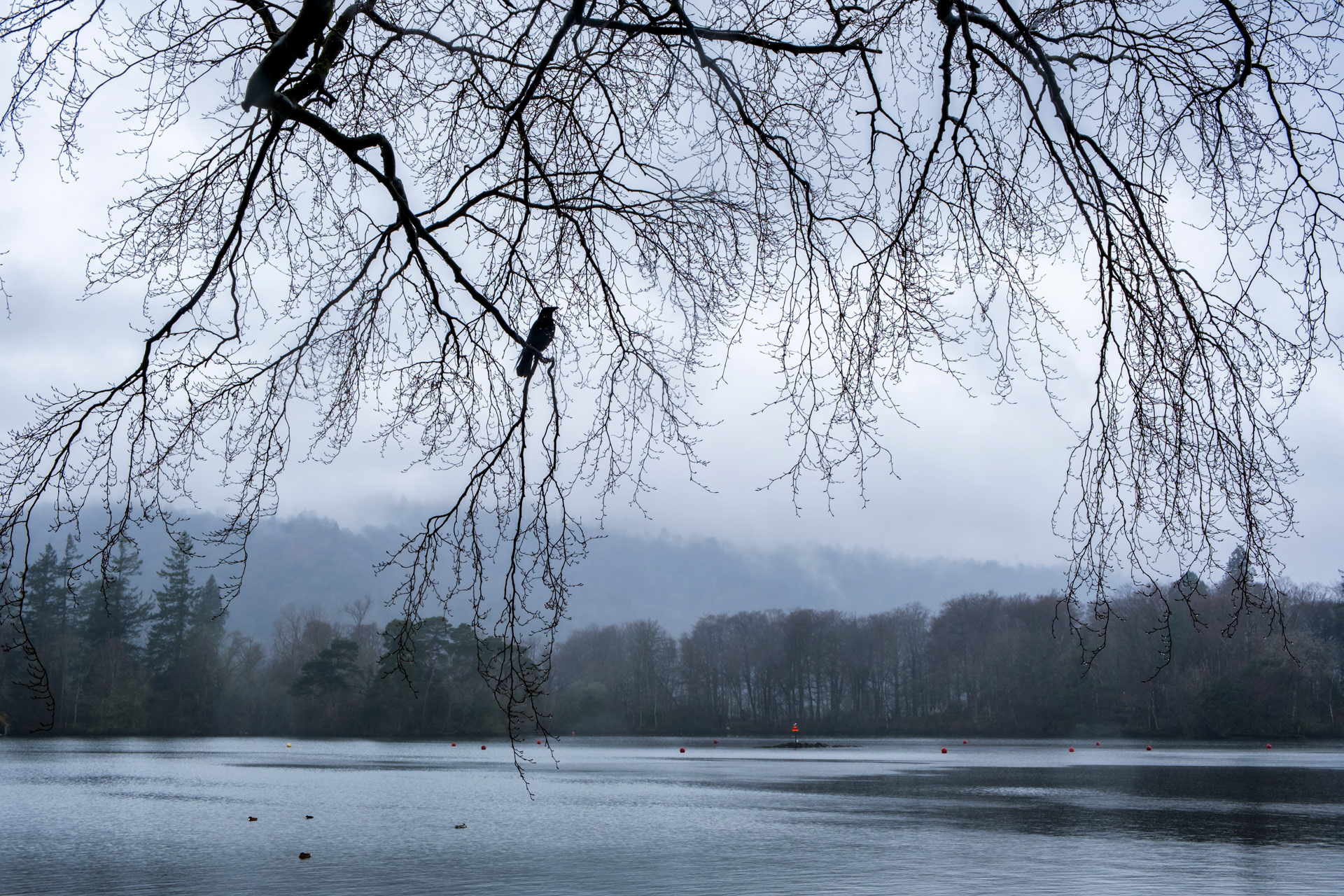 Windermere