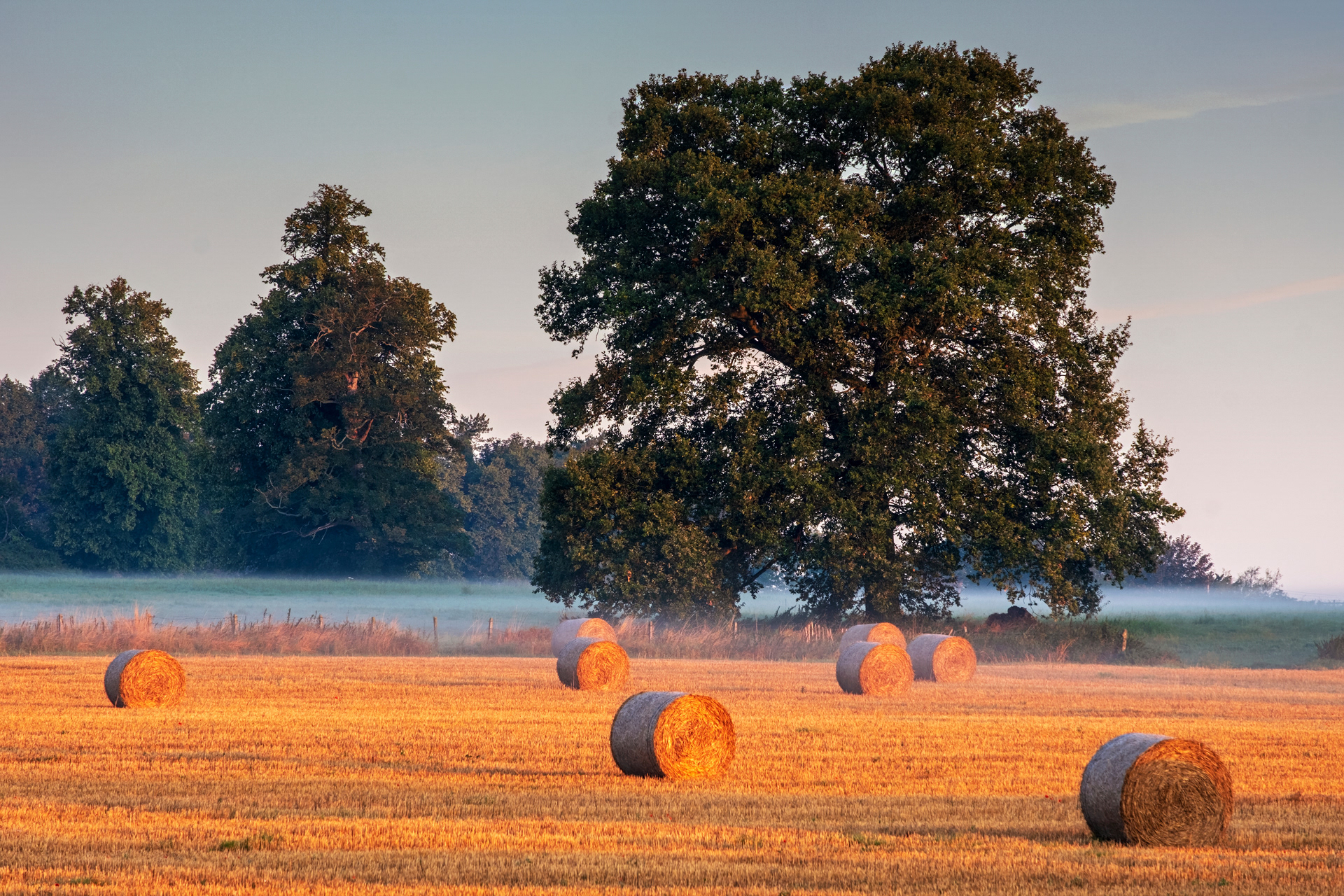 Golden Bales