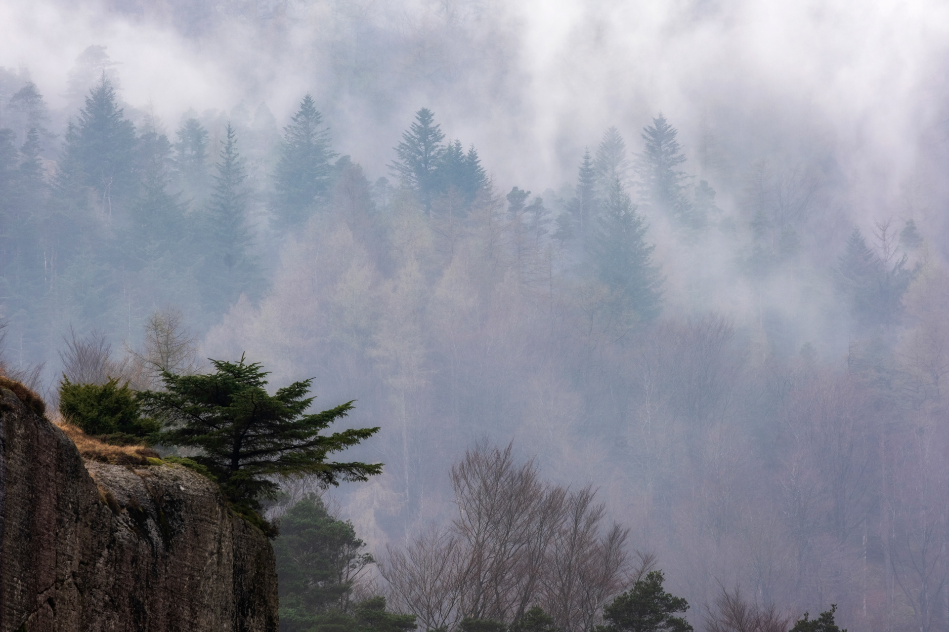 Clearing Mist (Thirlmere)