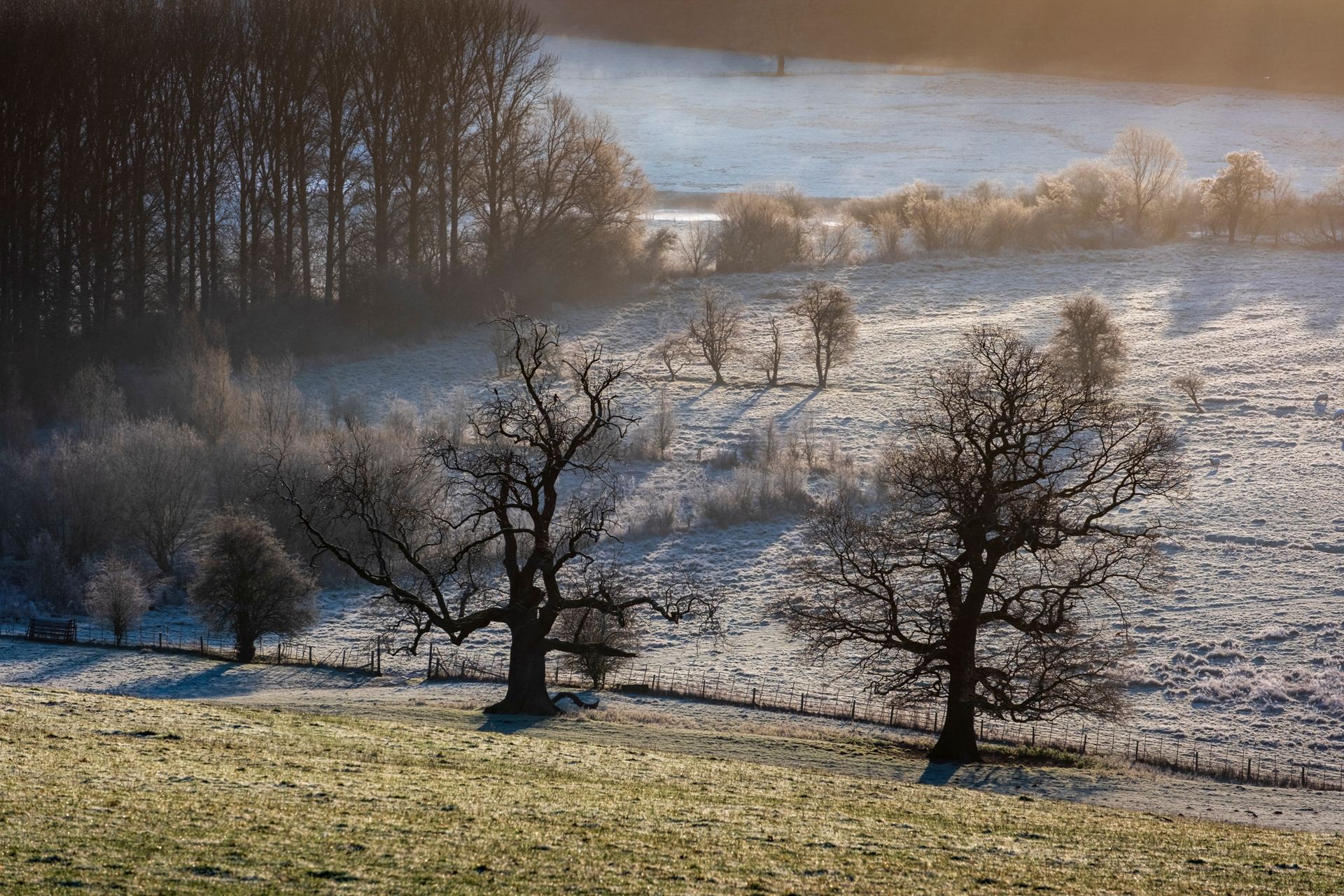 Winter's Morning Buildwas