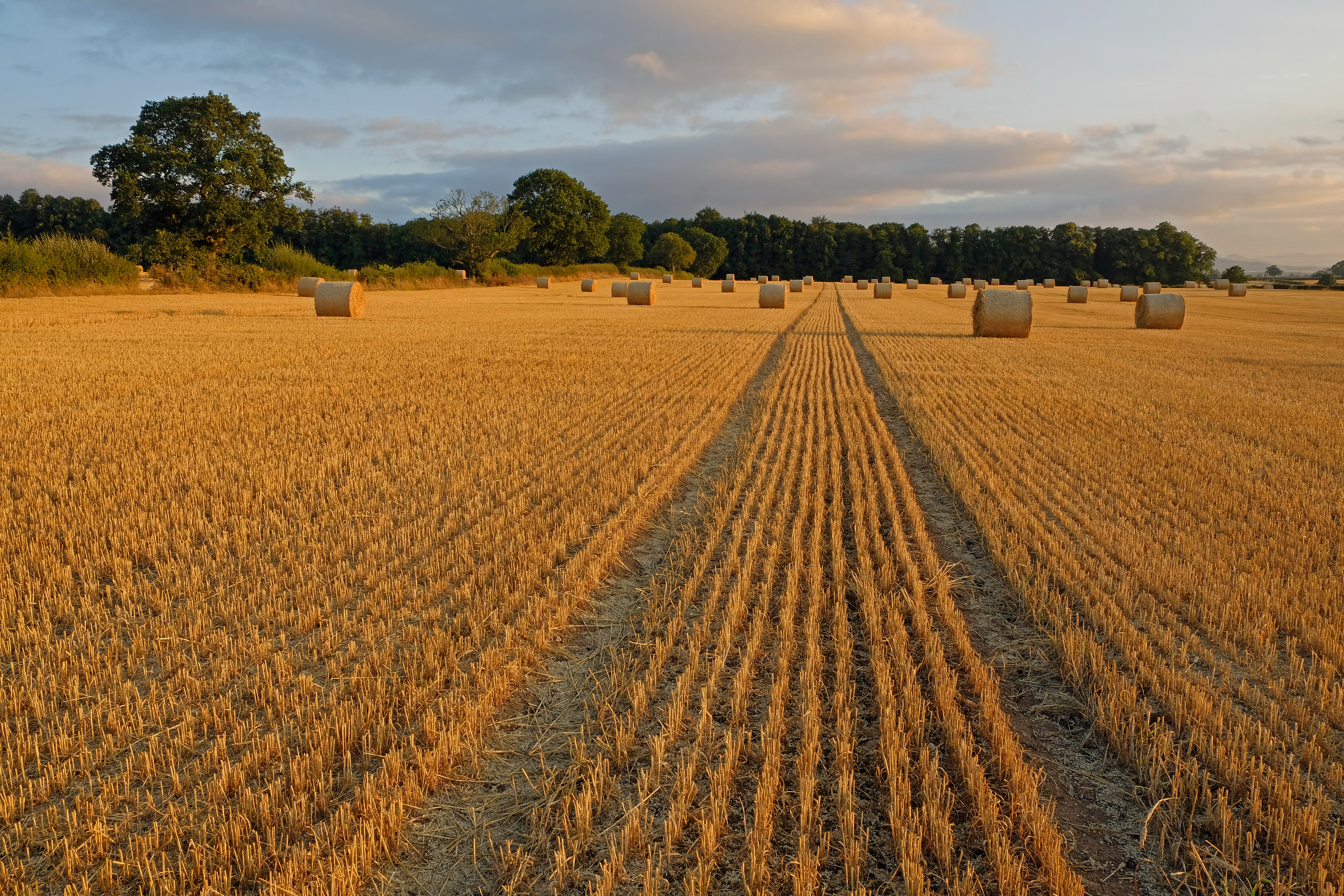Harvest Tracks
