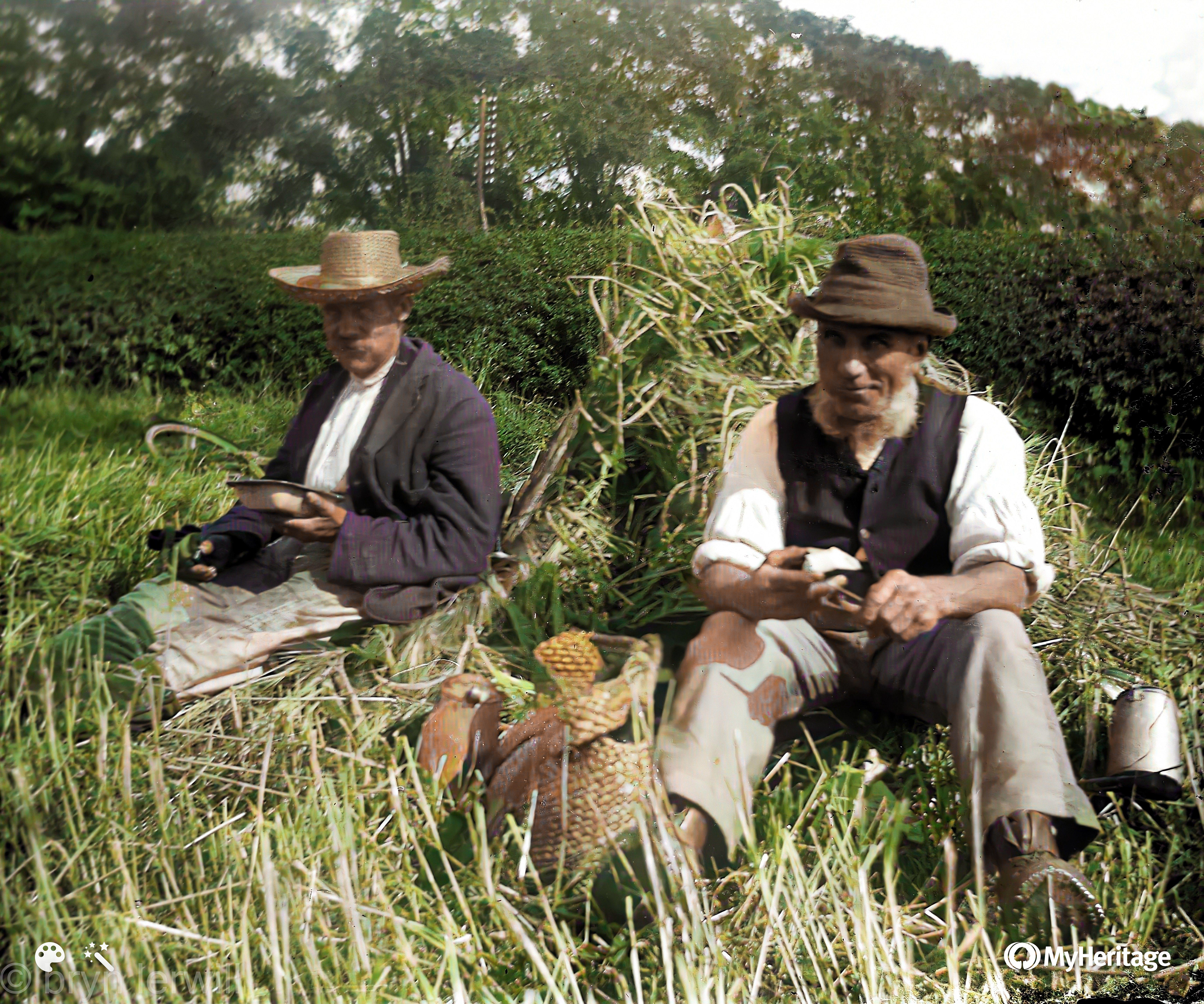 An old B&W plate neg, scanned then colourised my MyHertage