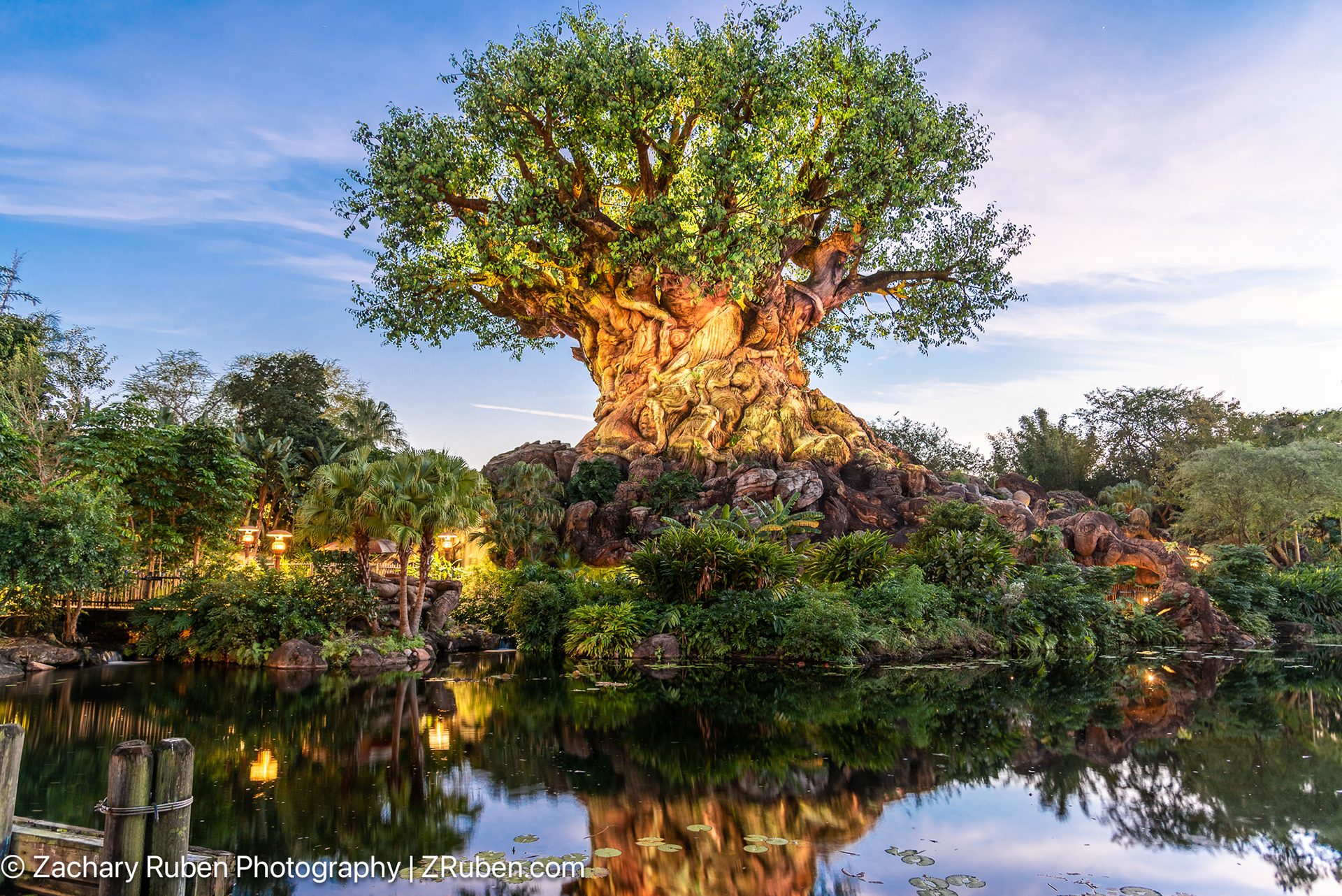 Tree of Life in Orlando, FL