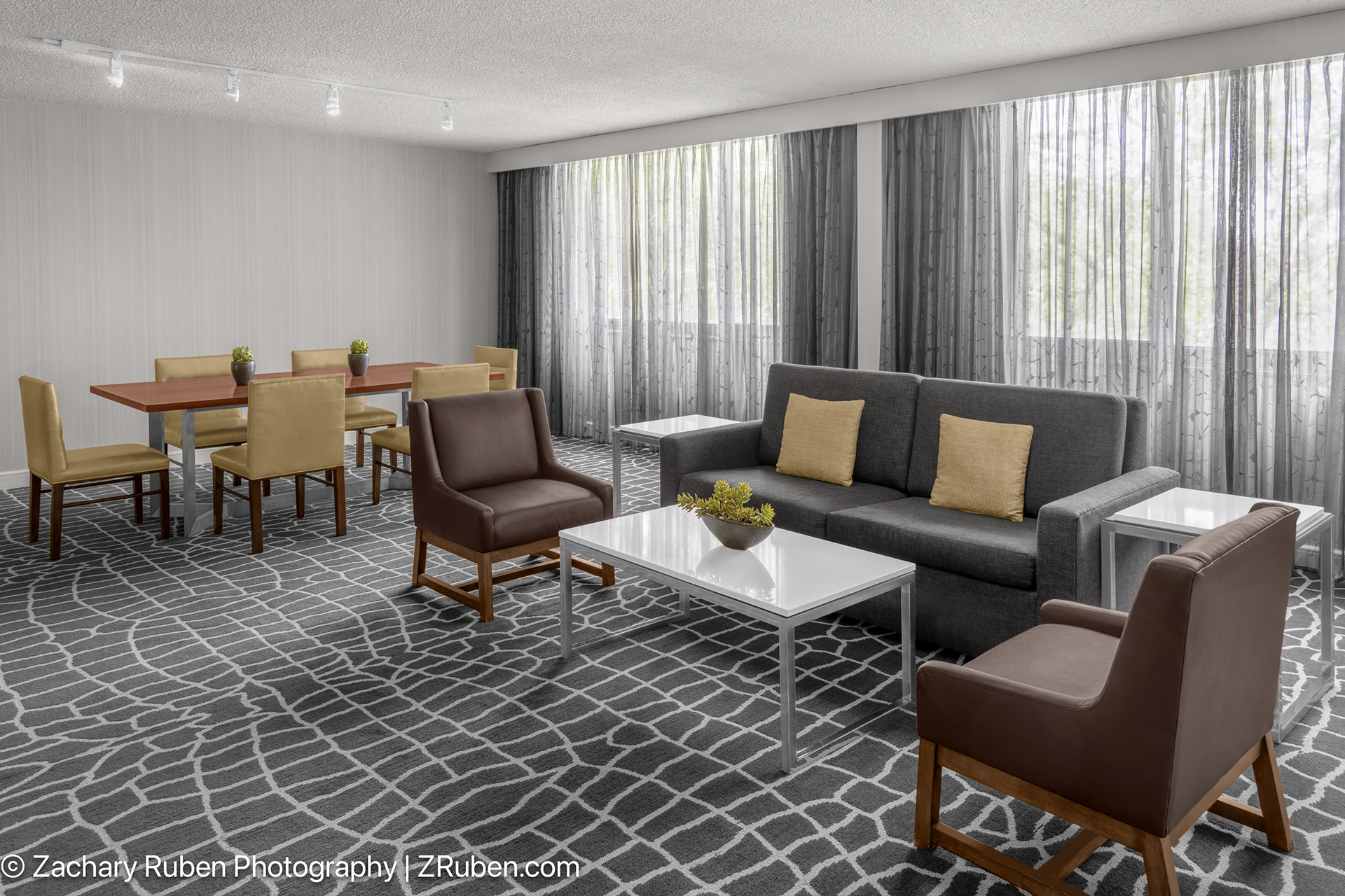 Ivy Suite Living Room at Hyatt Regency Princeton