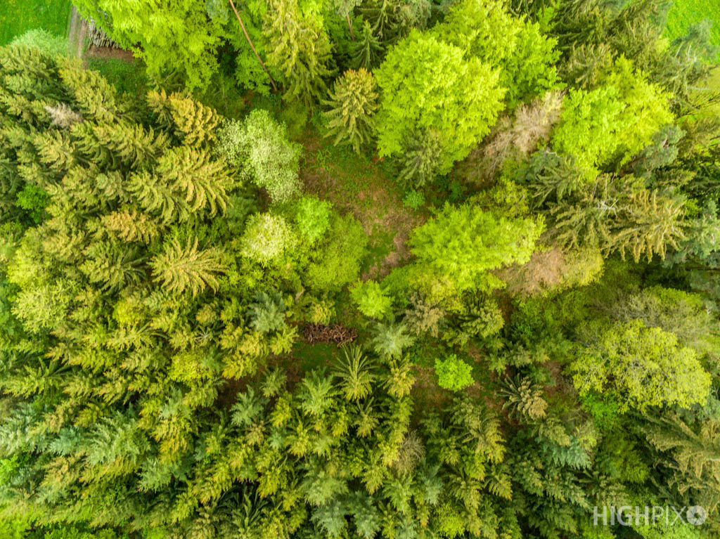 Luftbild Mischwald, Naturpark Fränkische Schweiz Veldensteiner Forst