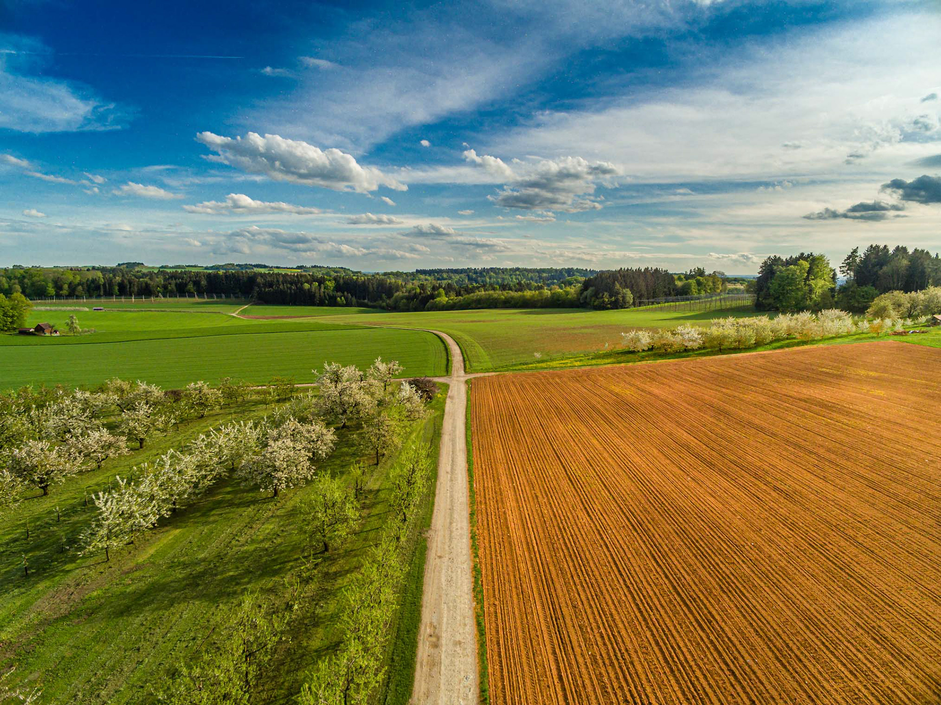 Streuobstwiesen Nähe Oberwindsberg, Naturpark Fränkische Schweiz Veldensteiner Forst