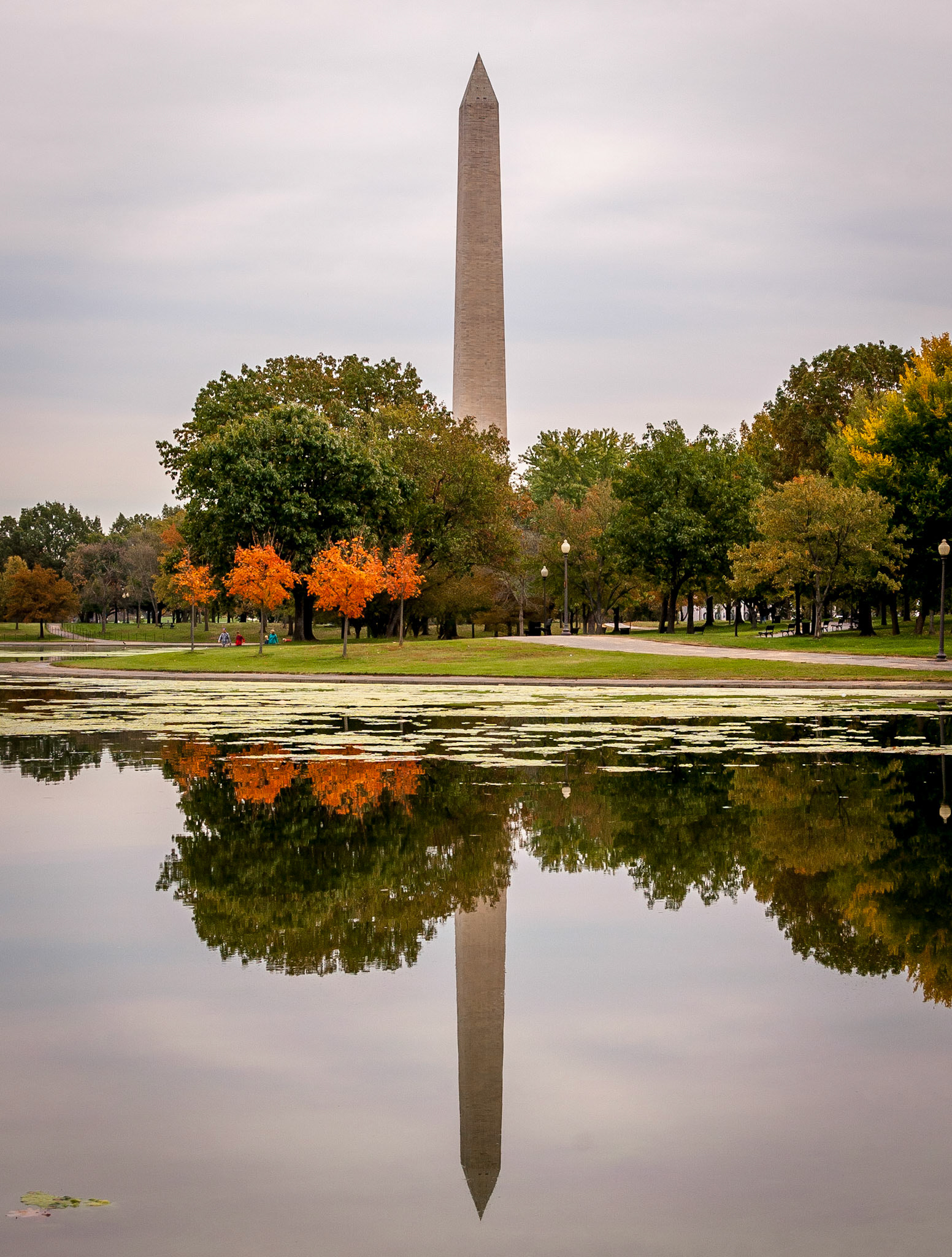 The Washington Monument