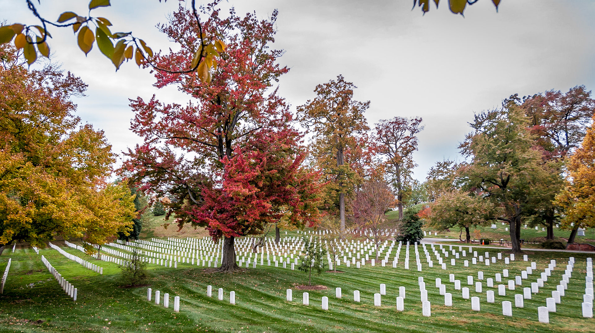 Arlington National Cemetery