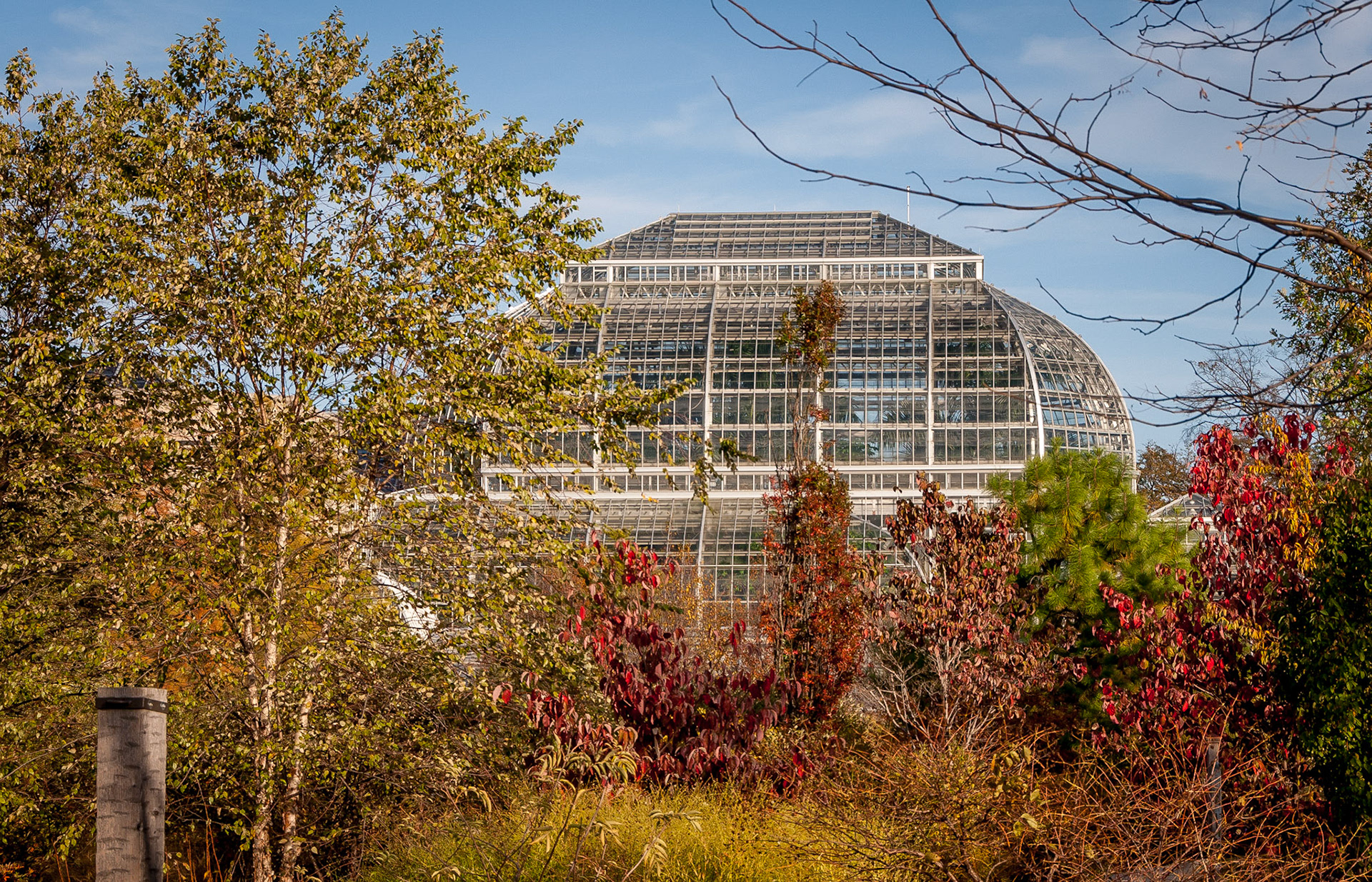 U.S. Botanic Garden