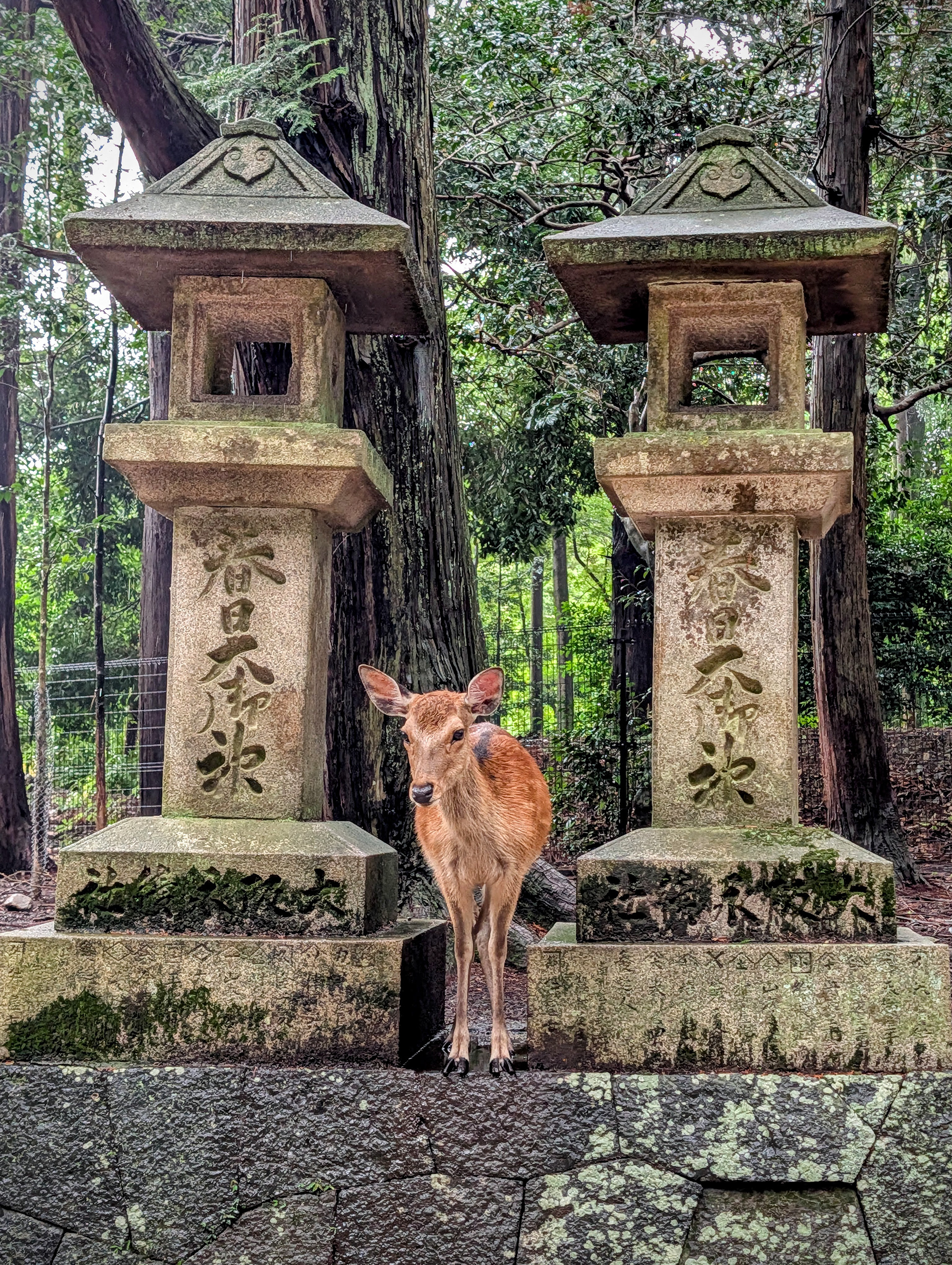 Sacred Deer Temple