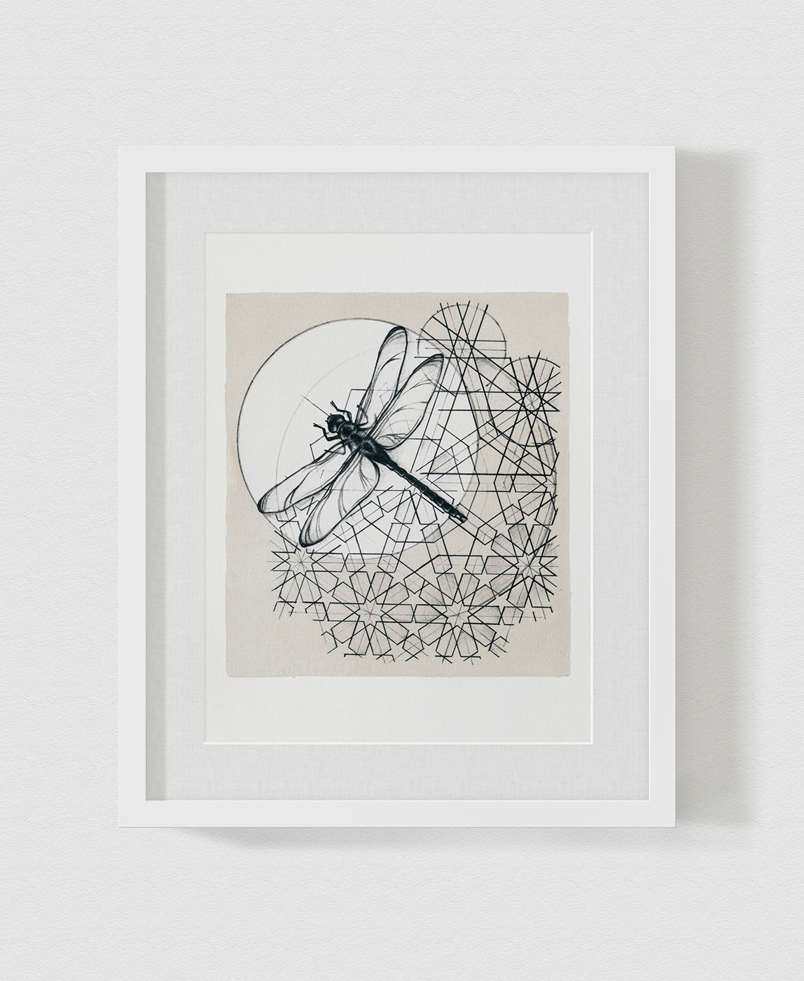 Libellule, Lithographie sur pierre. 27 x 25 cm. 2013.