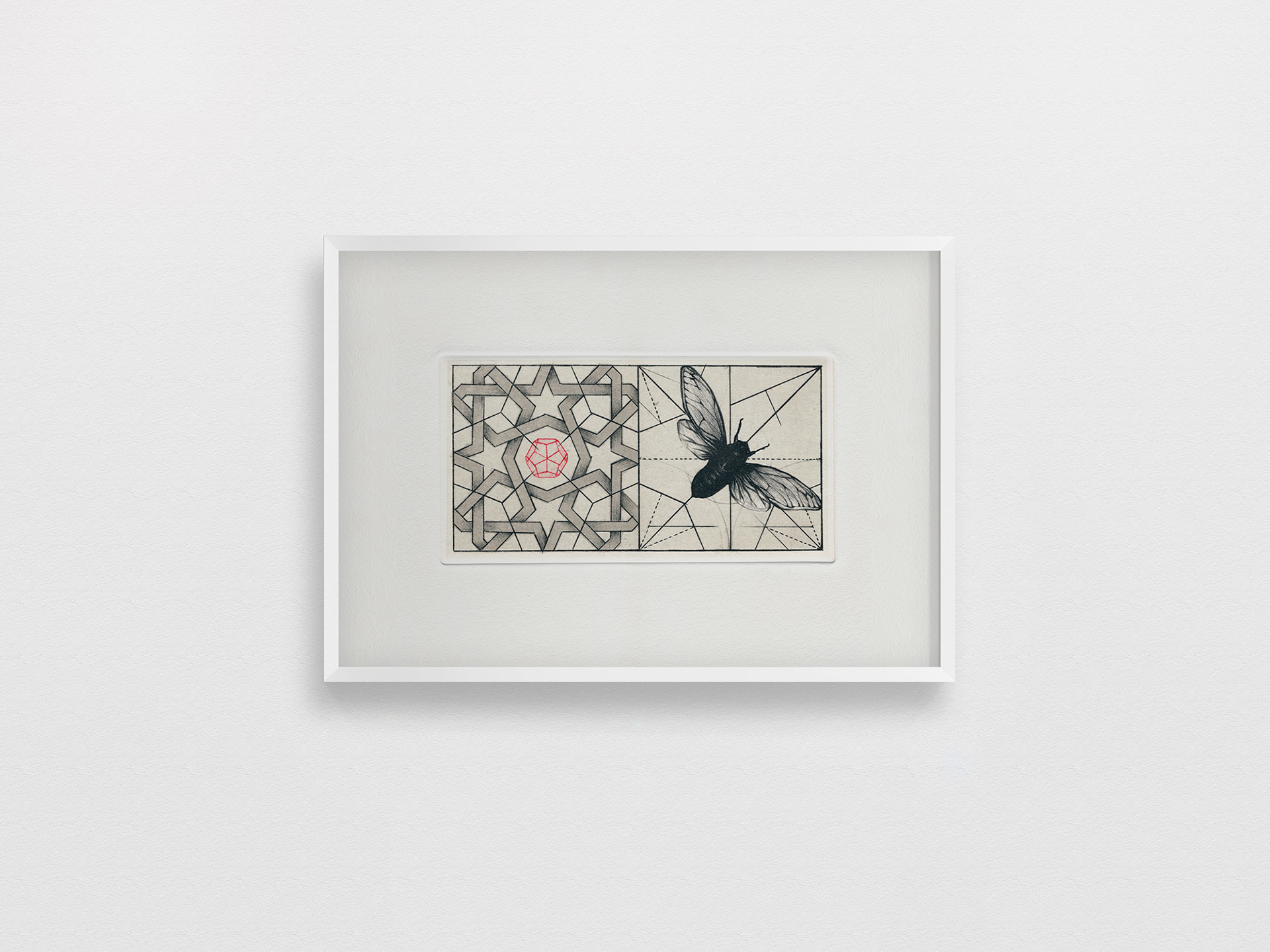 L'éther, Lithographie sur pierre. 28 x 38 cm. 2013