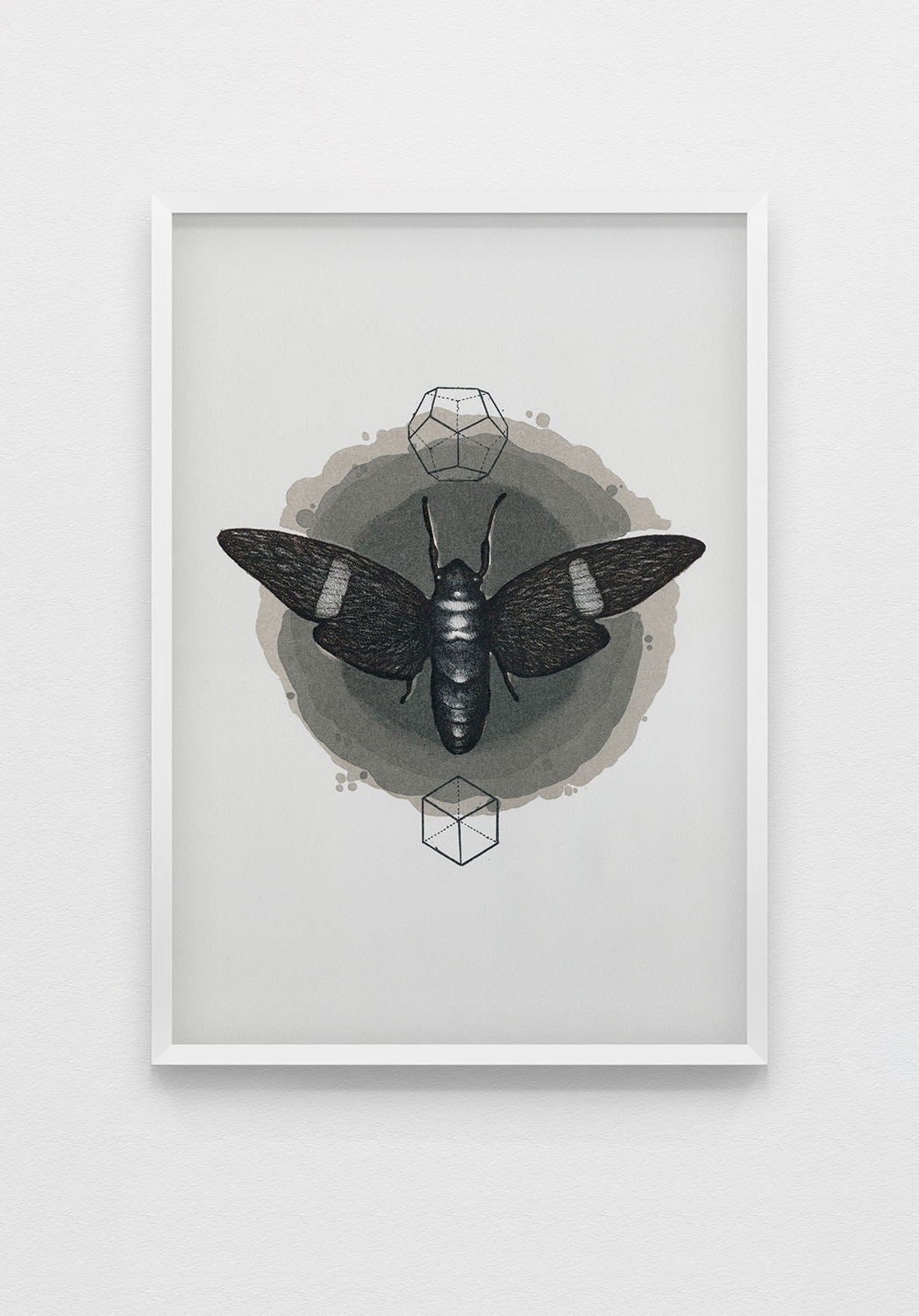 Solitude, Lithographie sur pierre. 38 x 28 cm. 2013.