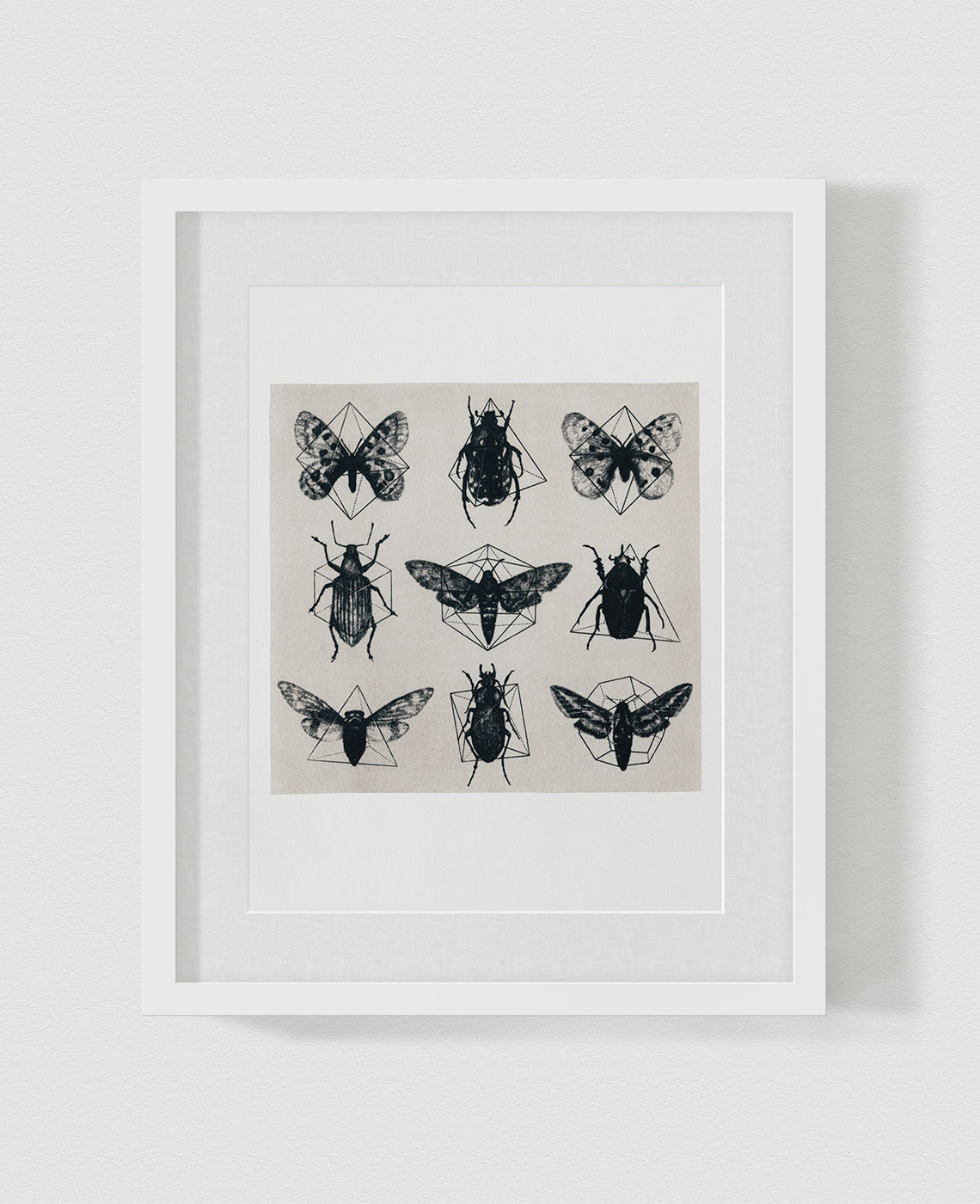 Le Cosmos, Lithographie sur pierre. 27 x 25 cm. 2013.