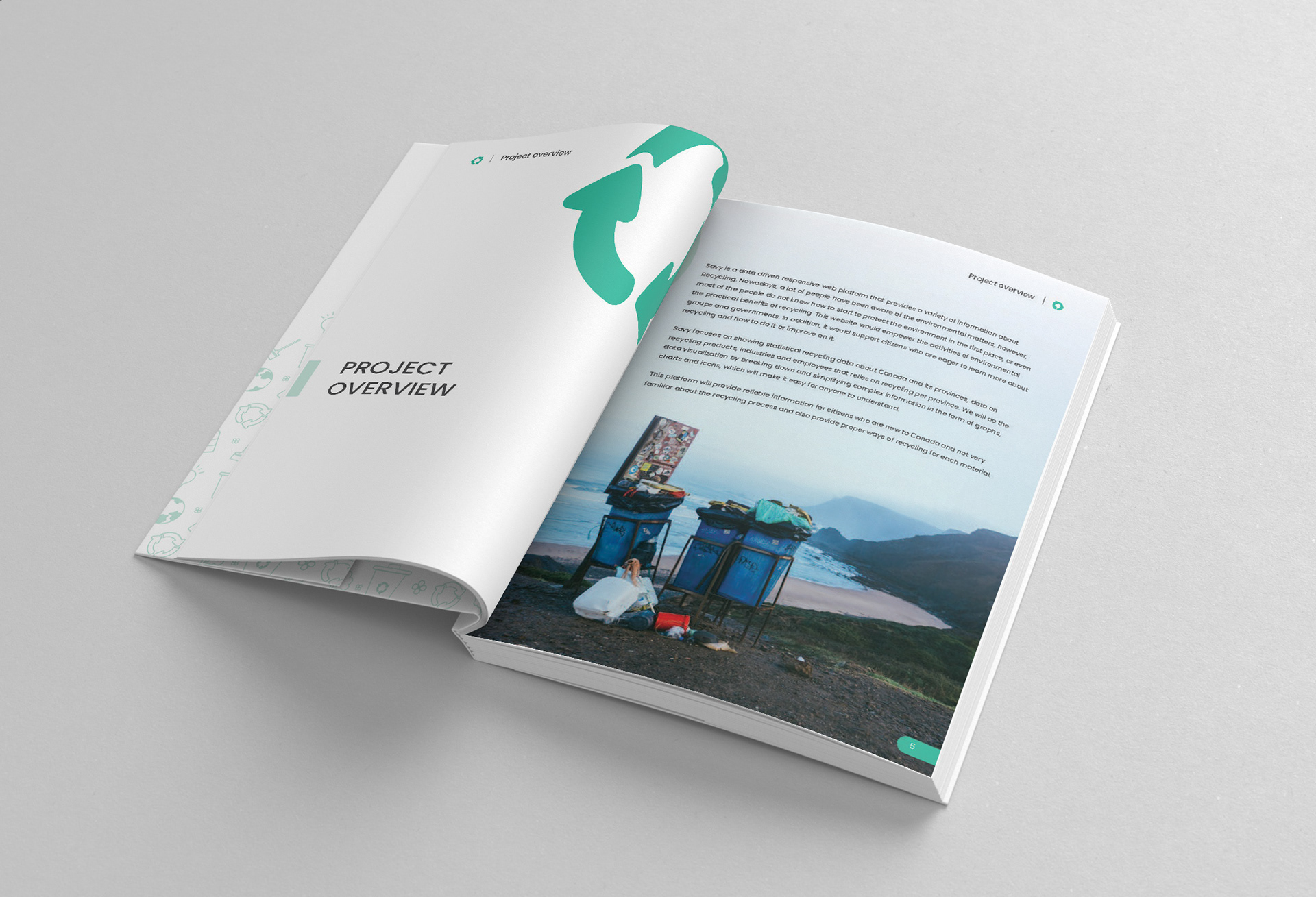 Savy Proposal Section Divider