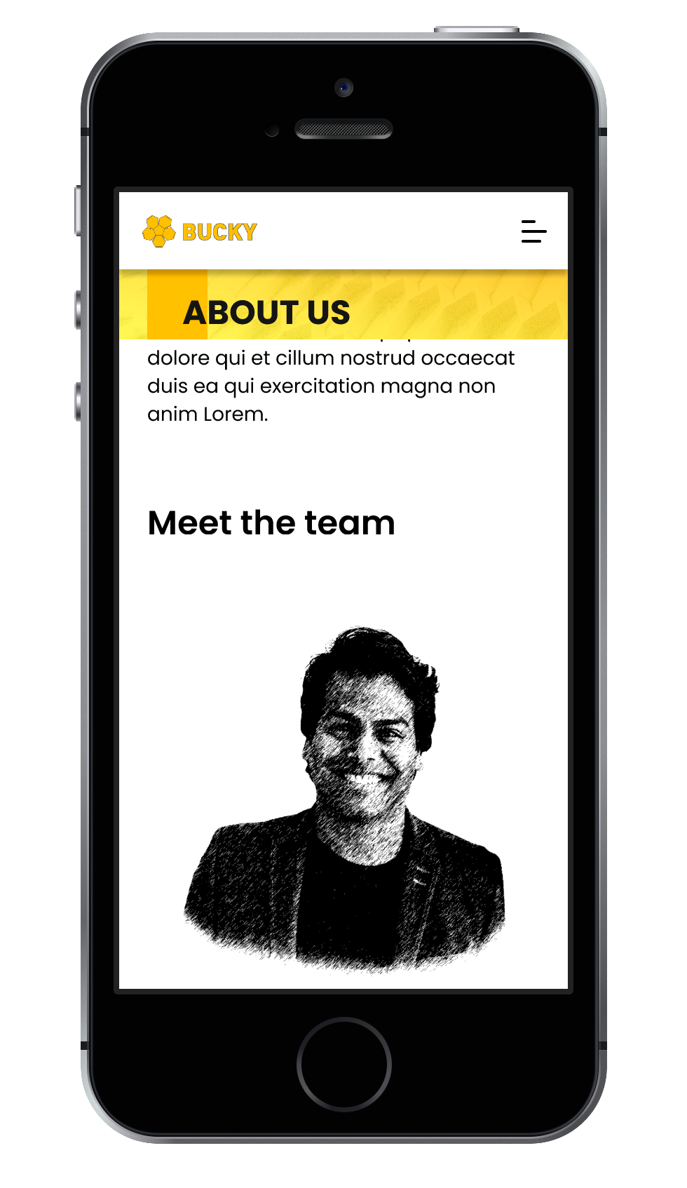 Mobile View - About Us Page