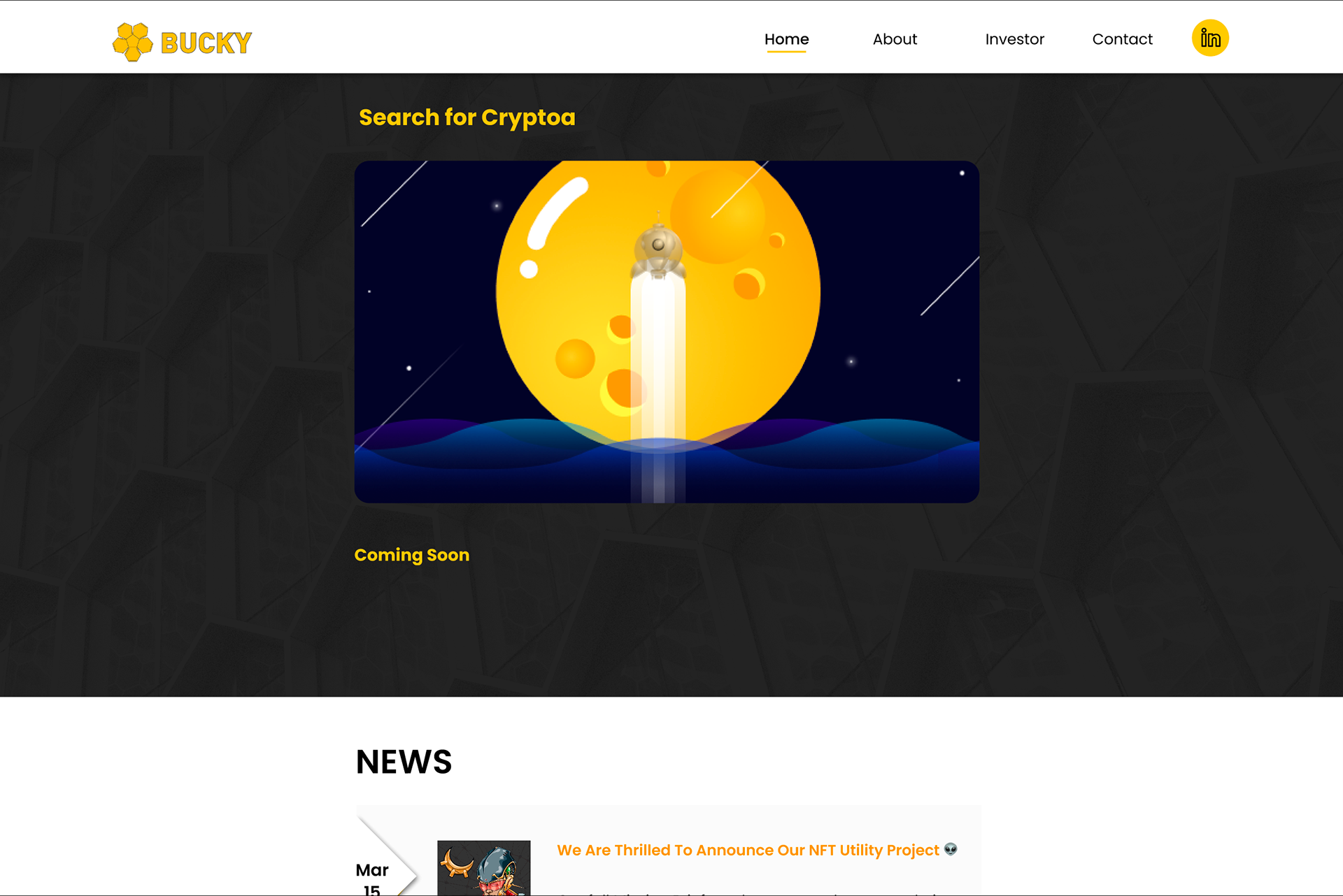 Desktop Version - Home Page (Projects cont.)