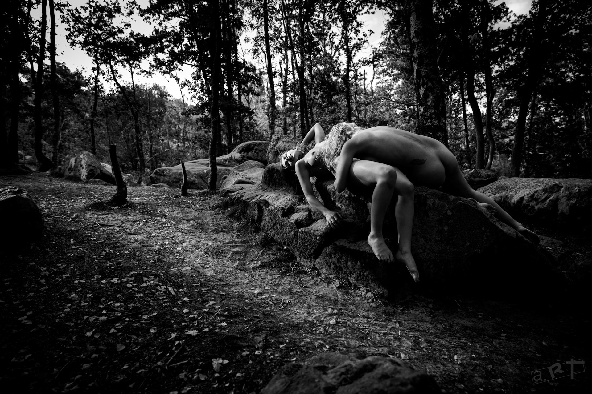 Anthocyane Copyright