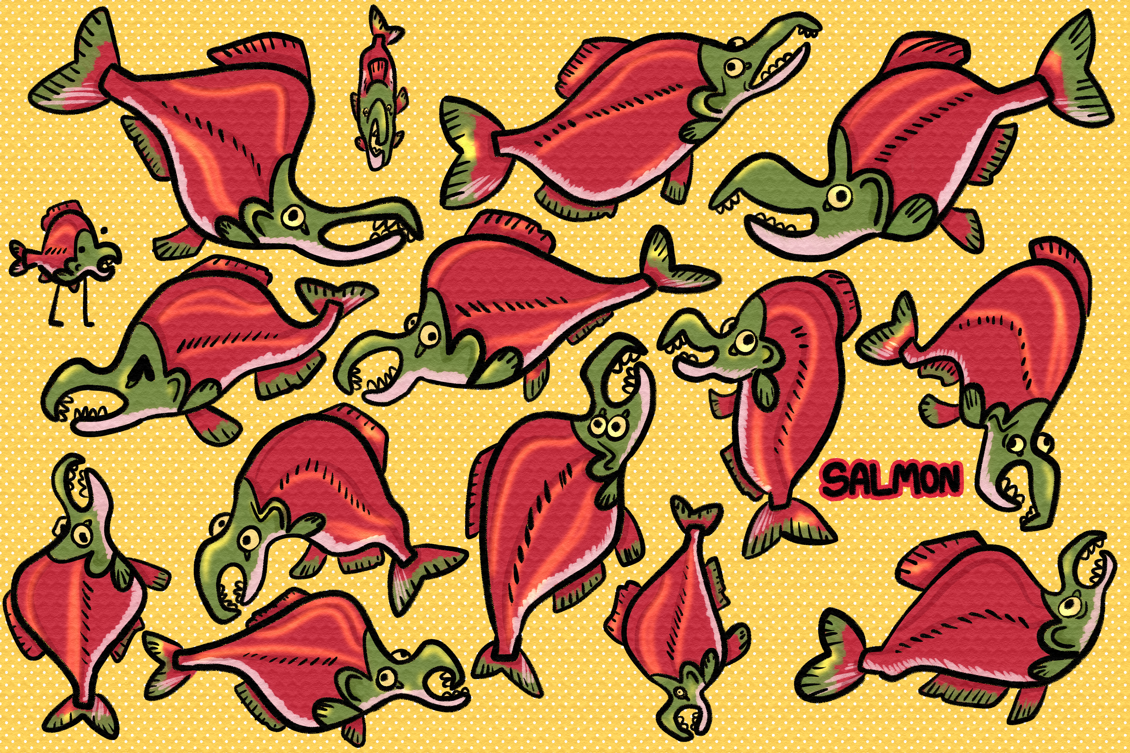 Experimental stylization of Alaskan Salmon.