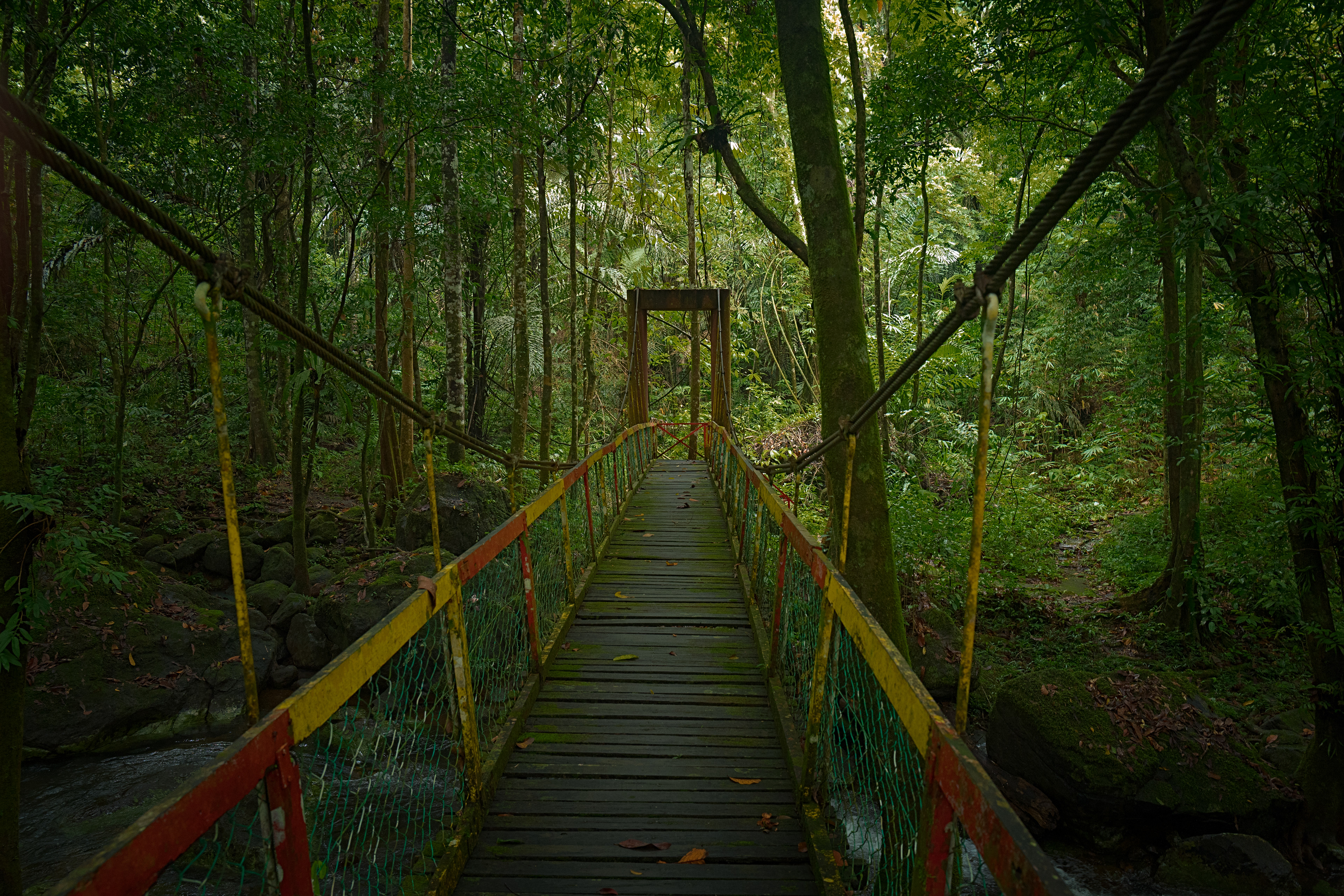 A narrow wooden suspension bridge stretches through dense tropical rainforest, framed by towering trees and lush green foliage. The weathered bridge leads into the forest beneath a soft canopy of filtered light, creating a peaceful and immersive scene at Jalan Taman Rekreasi Ranchan, Serian, Sarawak.