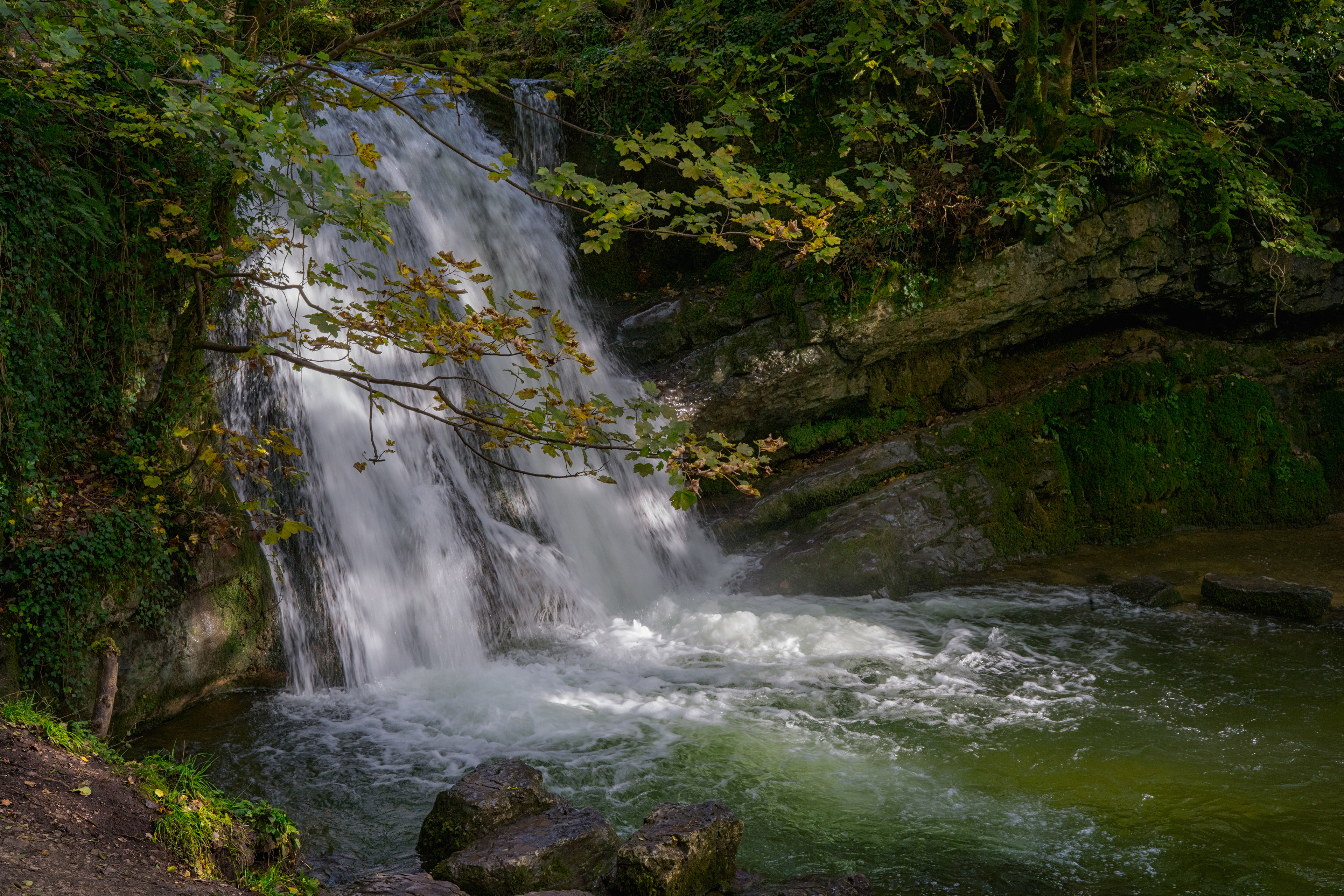 A fine-art landscape photograph showing a bright, powerful waterfall cascading over a rocky, mossy limestone ledge into a churning green pool, framed by an overhanging tree branch with leaves just beginning to turn color.