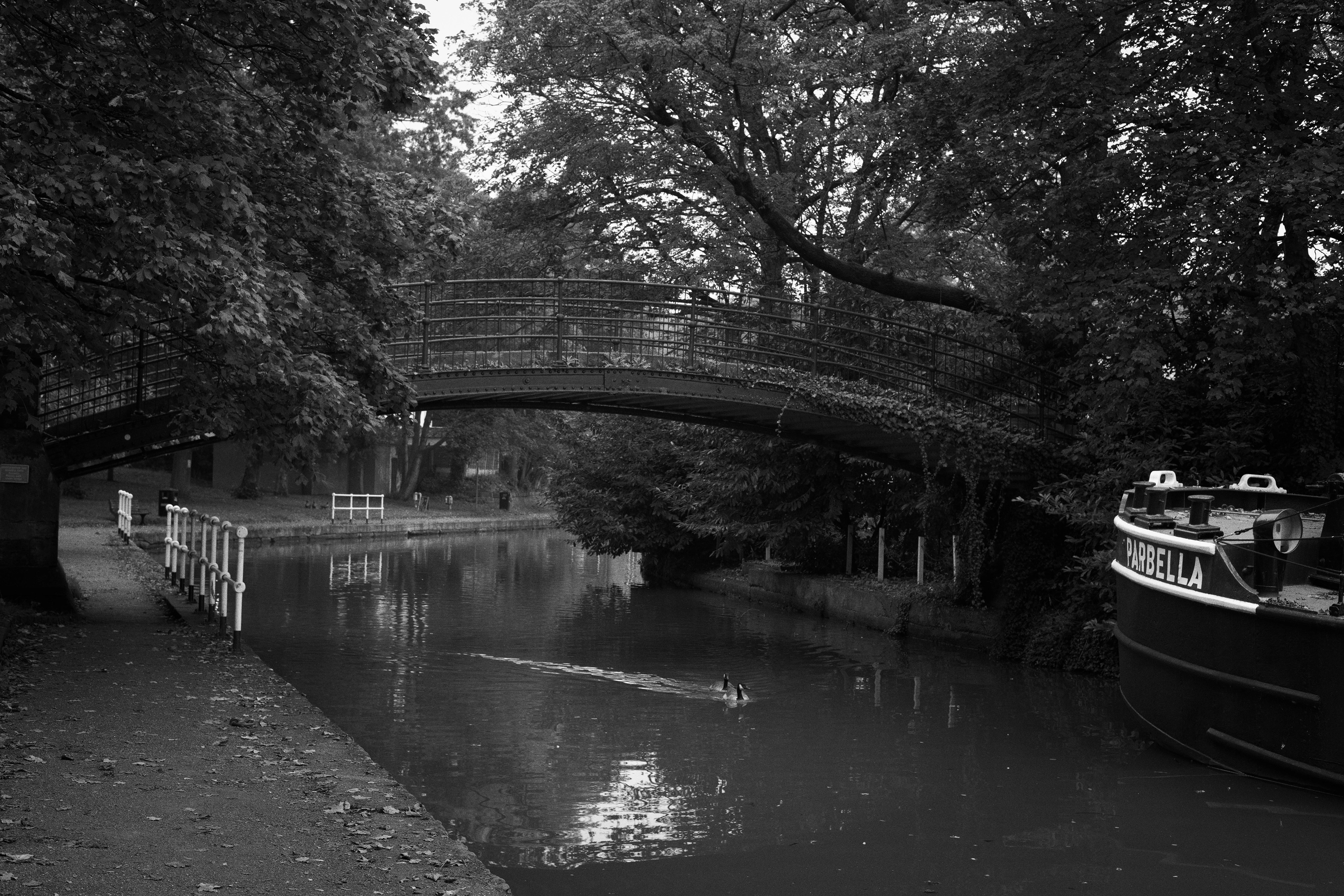 A high-contrast black and white photograph of a calm, tree-lined canal featuring a dark arched metal bridge, a moored narrowboat on the right, a curving towpath with white railings on the left, and two small waterbirds swimming through the reflection-filled water.