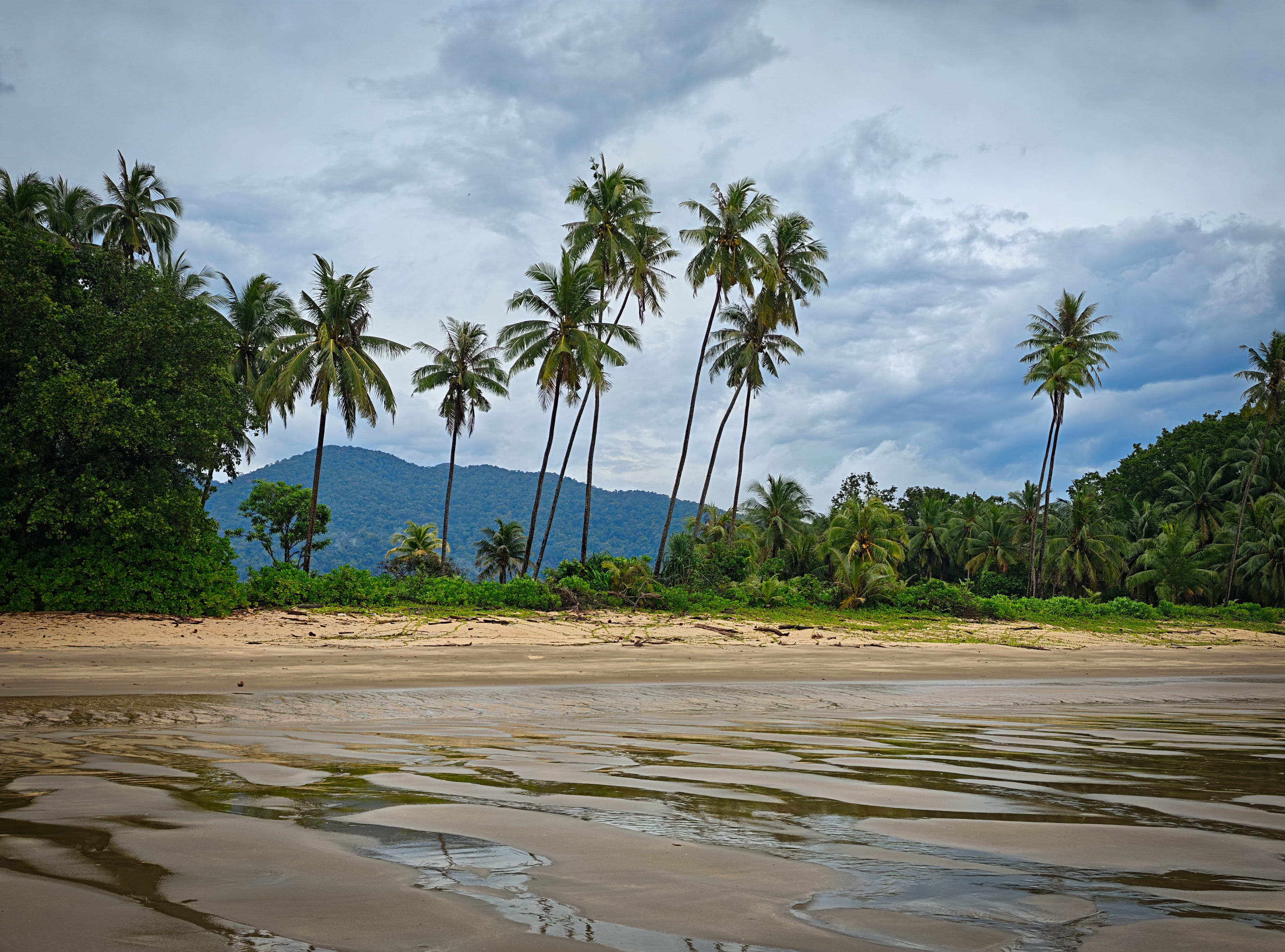 A tranquil tropical beach at low tide with rippled wet sand reflecting an overcast sky. Tall coconut palms line the shoreline against lush rainforest-covered hills, while dramatic clouds gather overhead, creating a peaceful yet atmospheric coastal scene at Pandan Beach, Lundu, Sarawak.
