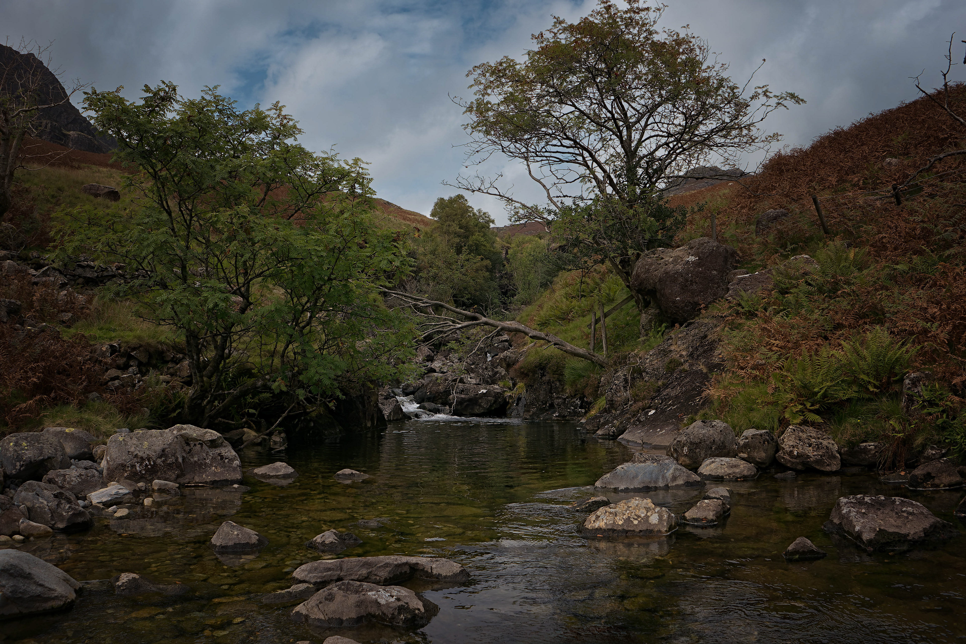 A moody landscape photograph from water level, showing a rocky stream flowing through a valley. Large boulders dominate the water and banks, which are covered in autumnal brown bracken and ferns. Two prominent trees frame the stream; one on the left is still green, while one on the right is more bare and wind-swept. Fells rise sharply in the background under a dramatic, cloudy blue sky.