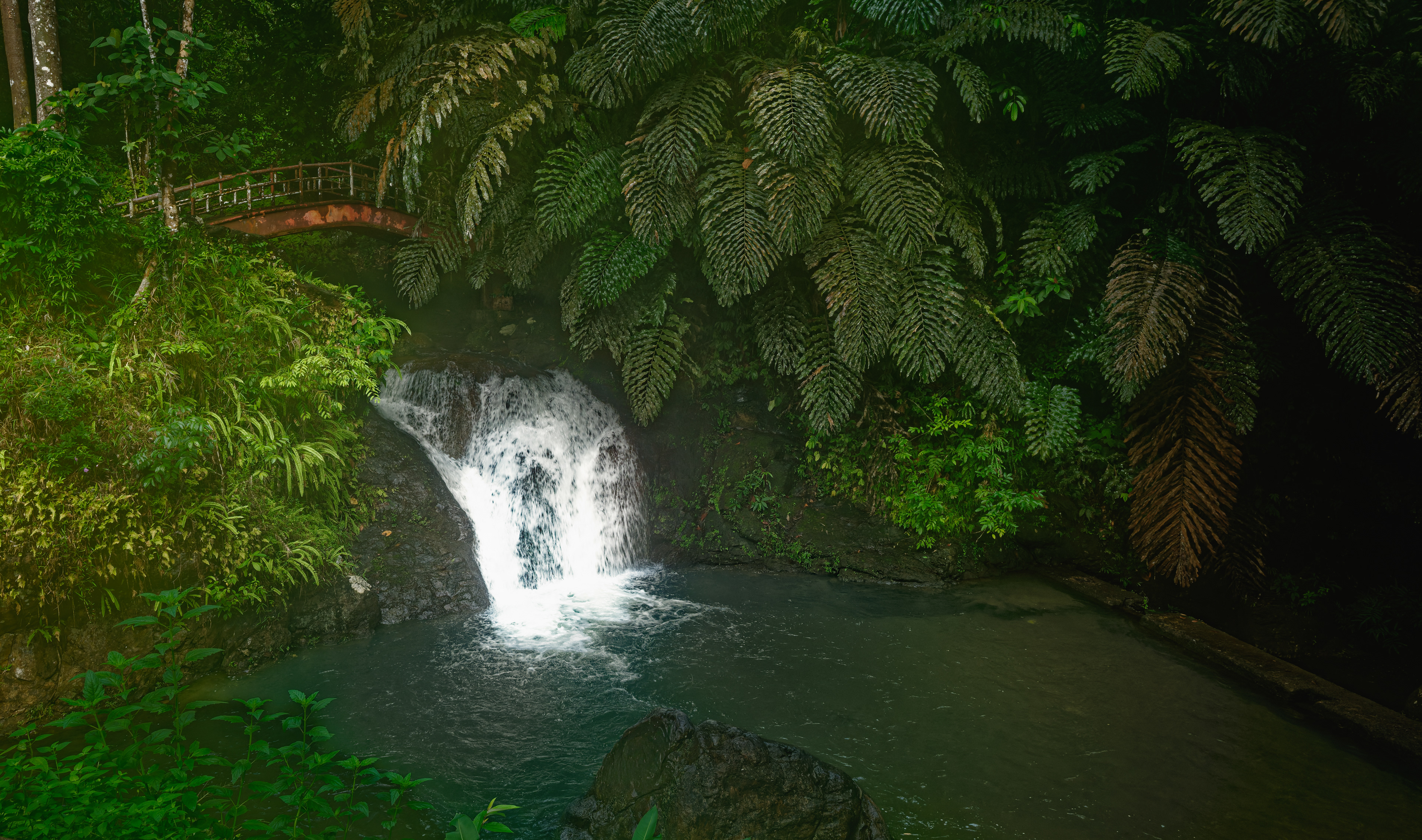 A secluded tropical waterfall cascades into a dark green forest pool surrounded by dense rainforest vegetation and enormous overhanging fern fronds. A small arched bridge is partially visible through the foliage above the waterfall, while filtered light illuminates the lush greenery and flowing water.