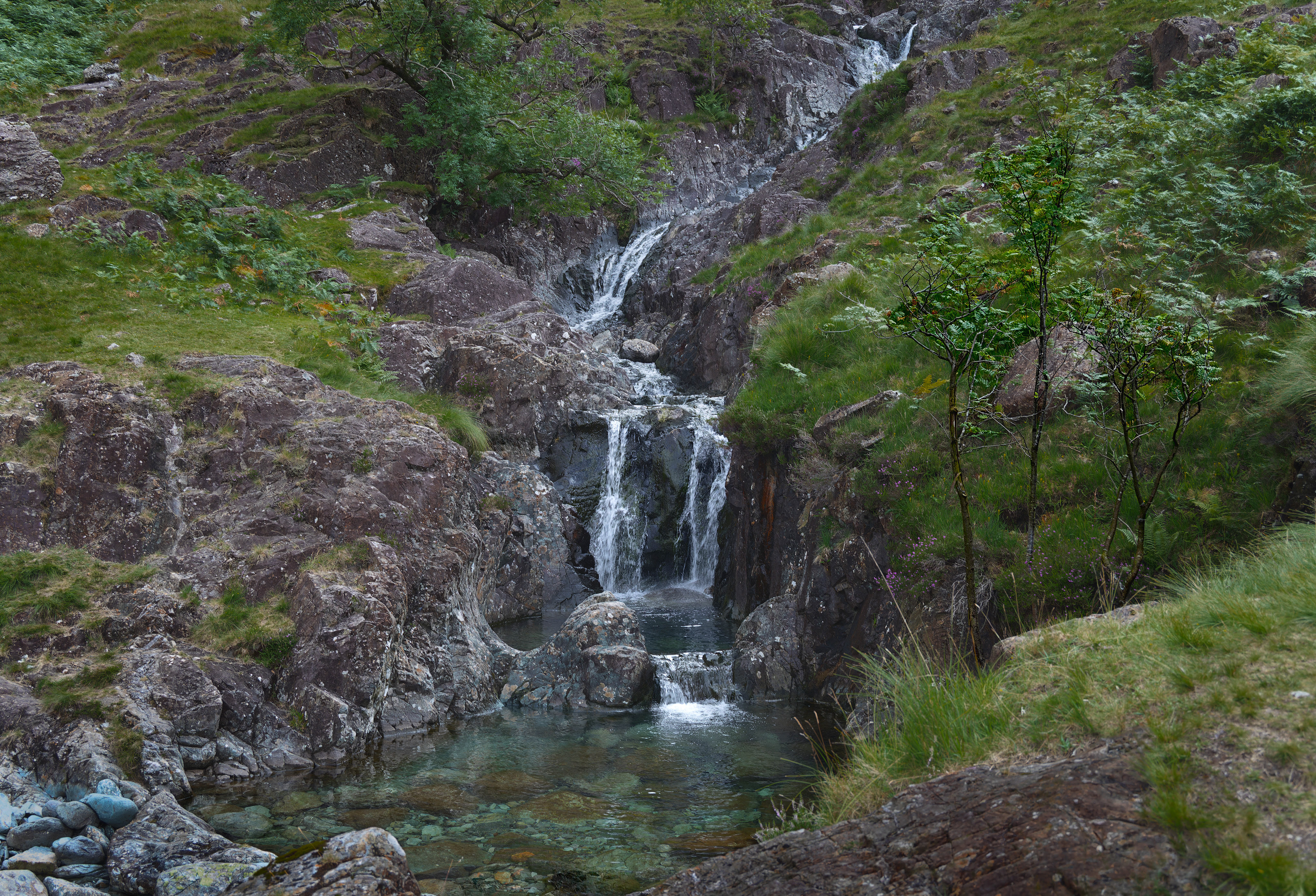 Tiered waterfalls cascade down weathered rock into crystal-clear pools amid upland grass and slender trees at Warnscale Beck, bathed in soft diffused light.