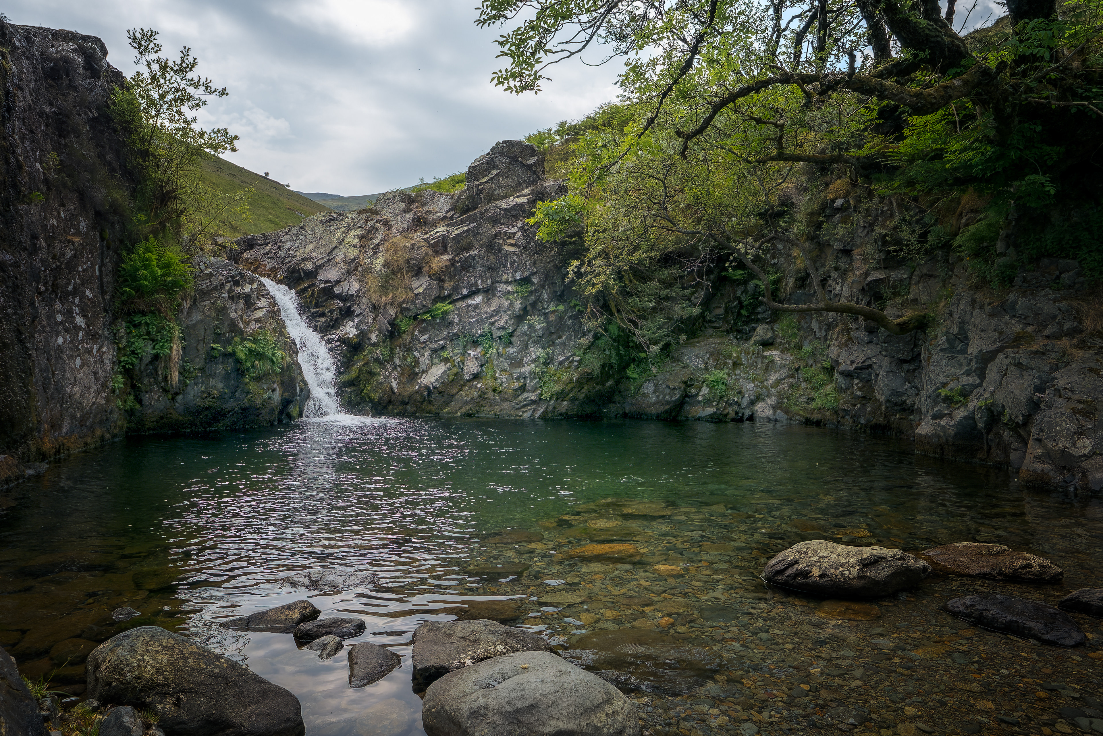 A fine-art photograph of a clear, calm pond reflecting a rugged cliff face and a cascading waterfall under an overcast sky, framed by overhanging, primeval branches.