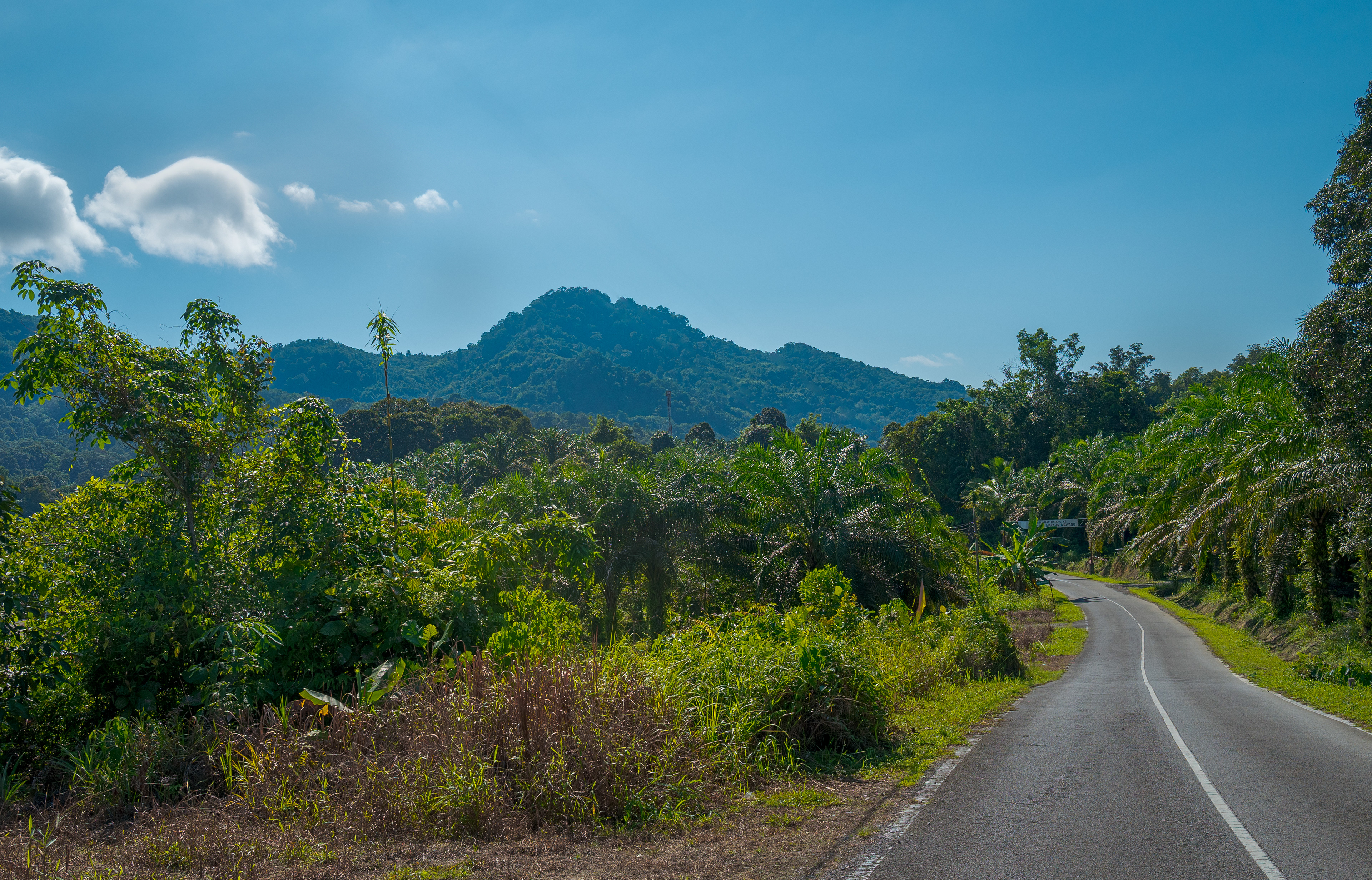 A winding rural road curves through lush tropical vegetation and palm trees toward densely forested mountains beneath a vivid blue sky. Soft white clouds float above the distant hills, while the sweeping road creates a strong leading line through the green landscape.
