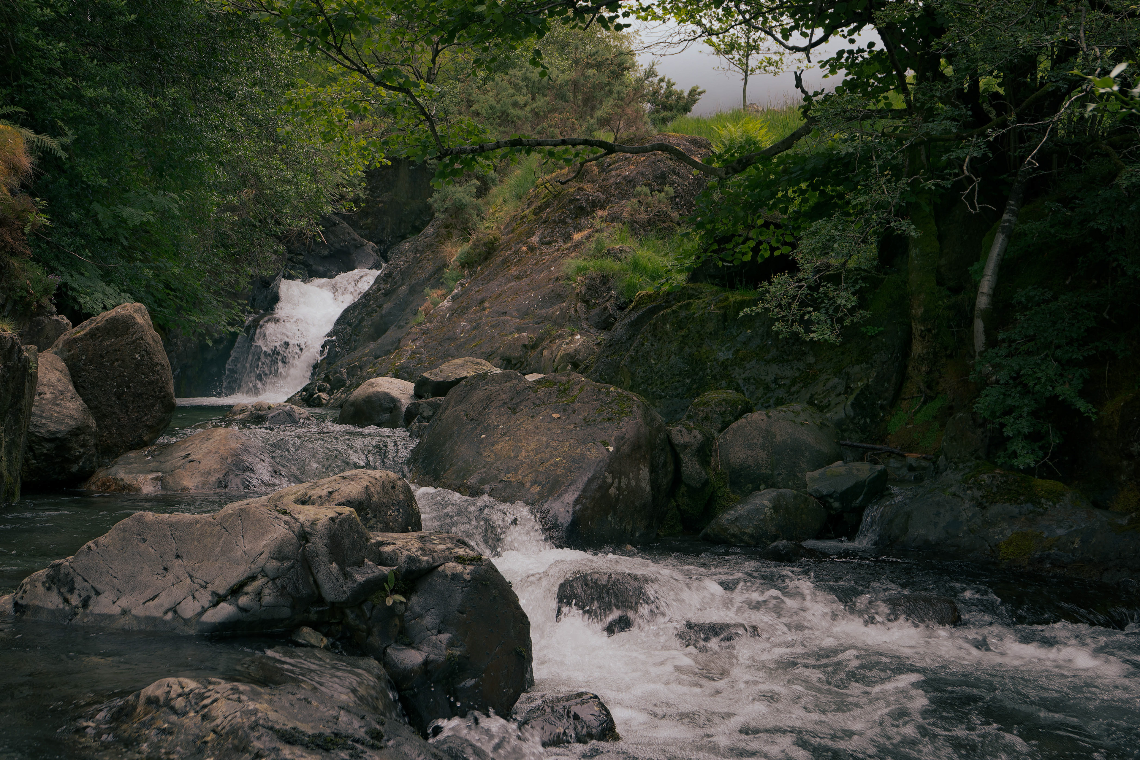 Rushing waters tumble over moss-flecked boulders beneath overhanging green foliage at Mosedale Beck, Wasdale, with distant misty hills softening the horizon.