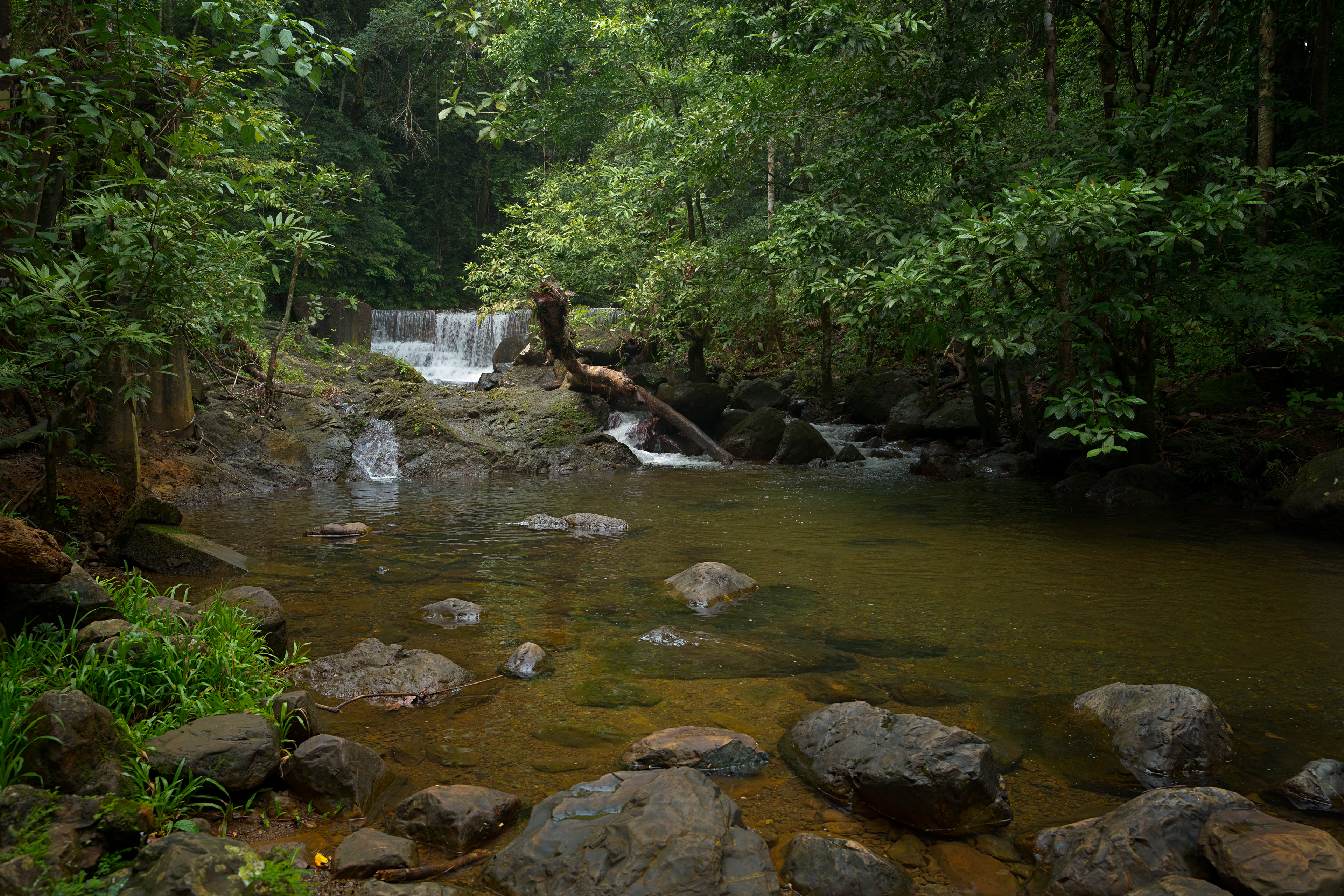 A tranquil rainforest stream flows into a clear natural pool surrounded by smooth boulders and dense tropical vegetation. A small waterfall cascades gently in the background beneath a lush green canopy, creating a peaceful wilderness scene at Jalan Taman Rekreasi Ranchan, Serian, Sarawak.