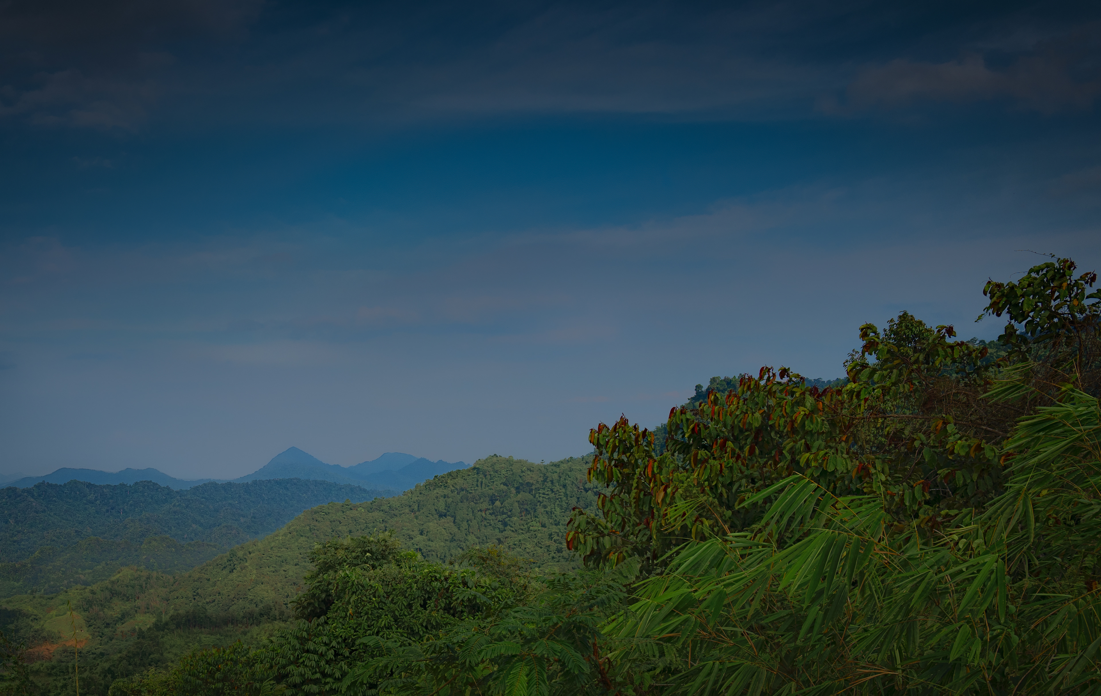 Layers of remote tropical hills fade toward distant mountain peaks beneath a vast blue sky, framed by dense vegetation in the foreground.