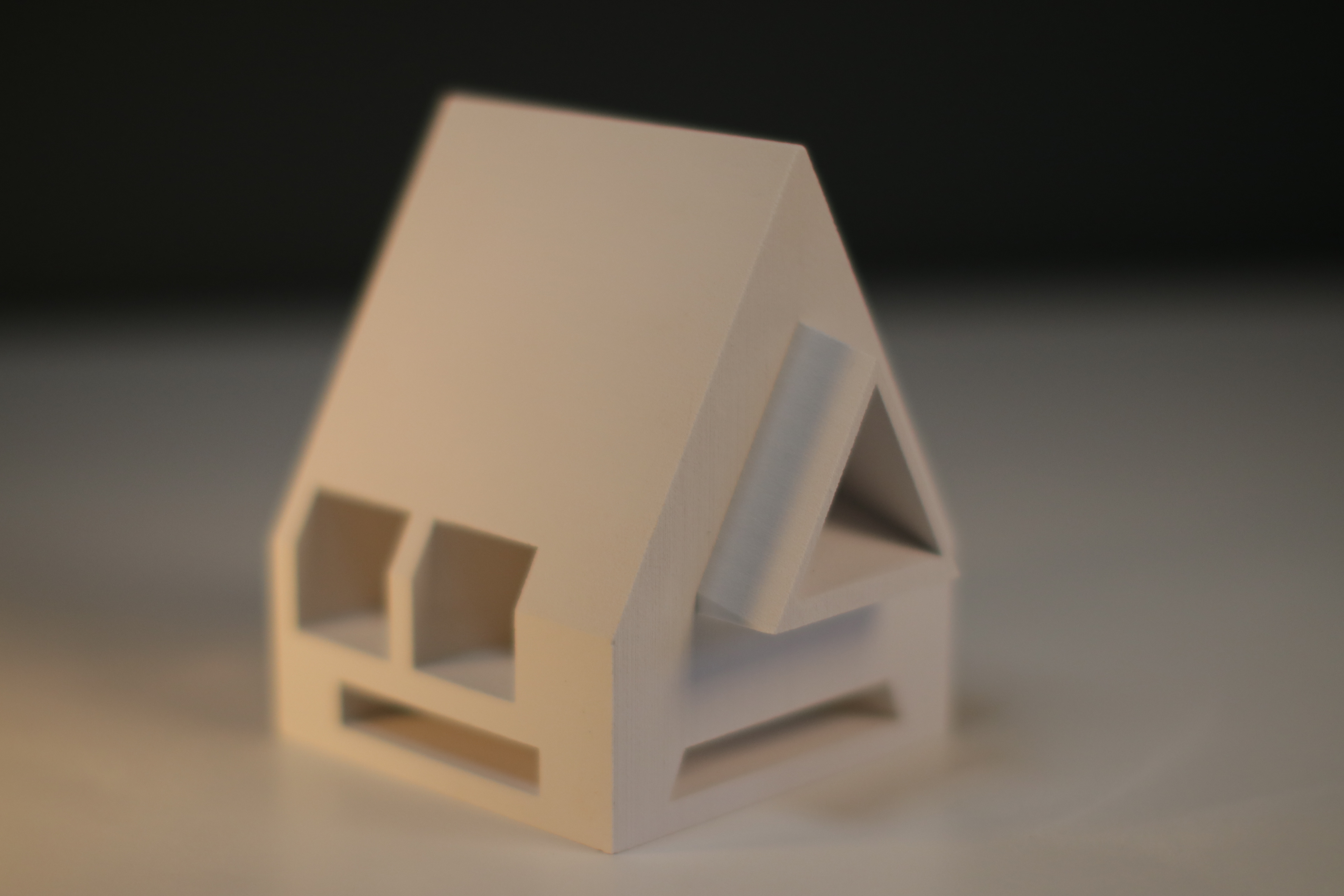 Early 3D printed prototype